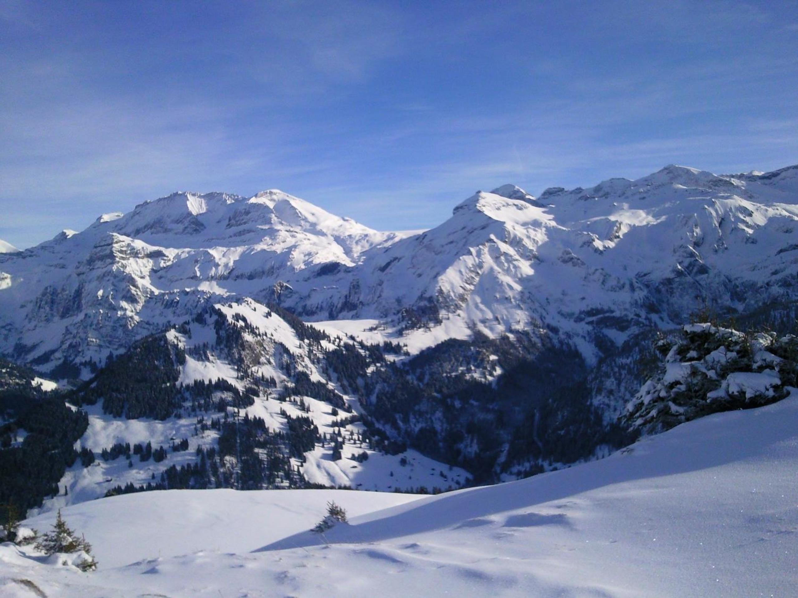 Photo 21