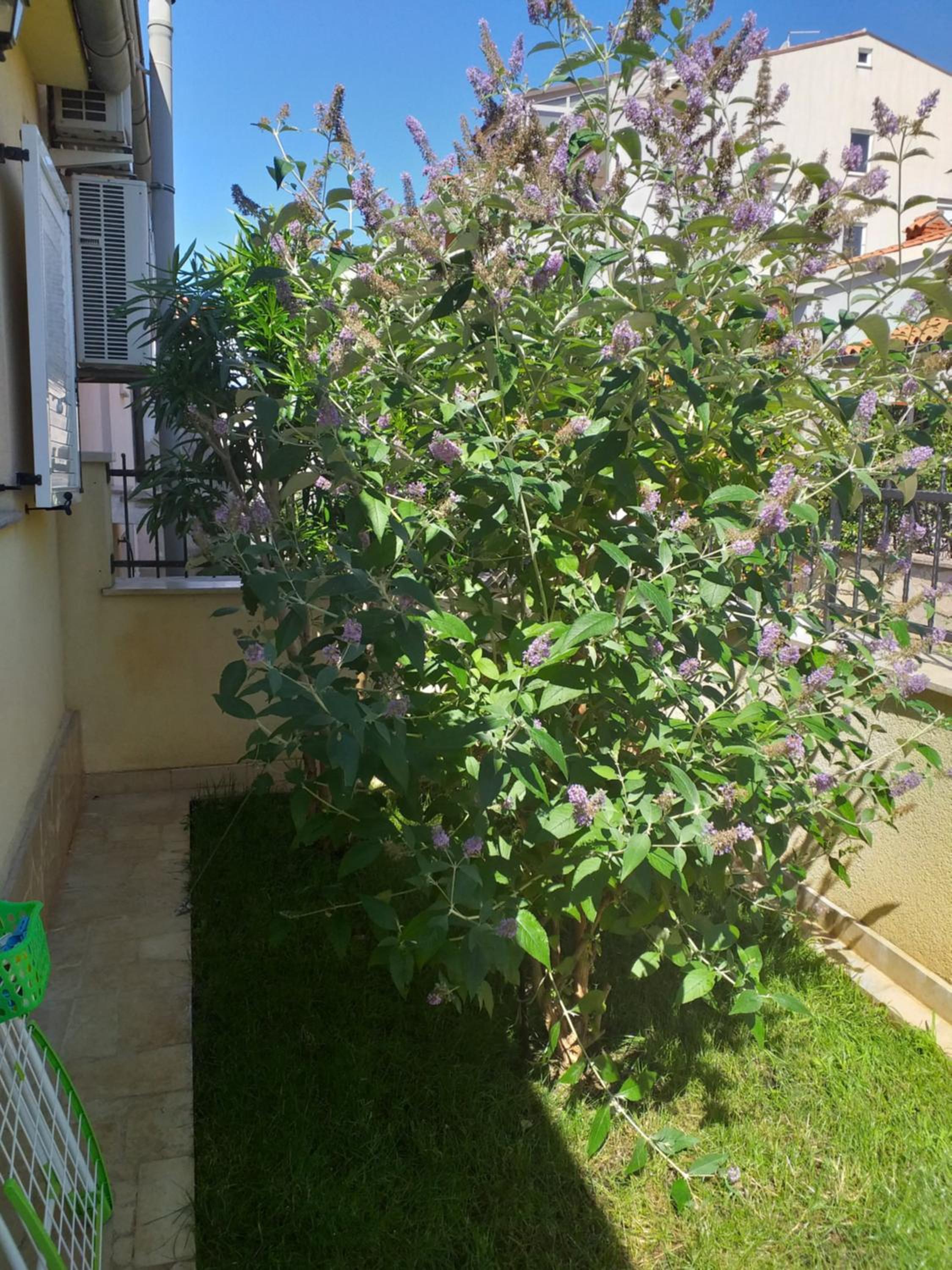 Apartman Vida view 5