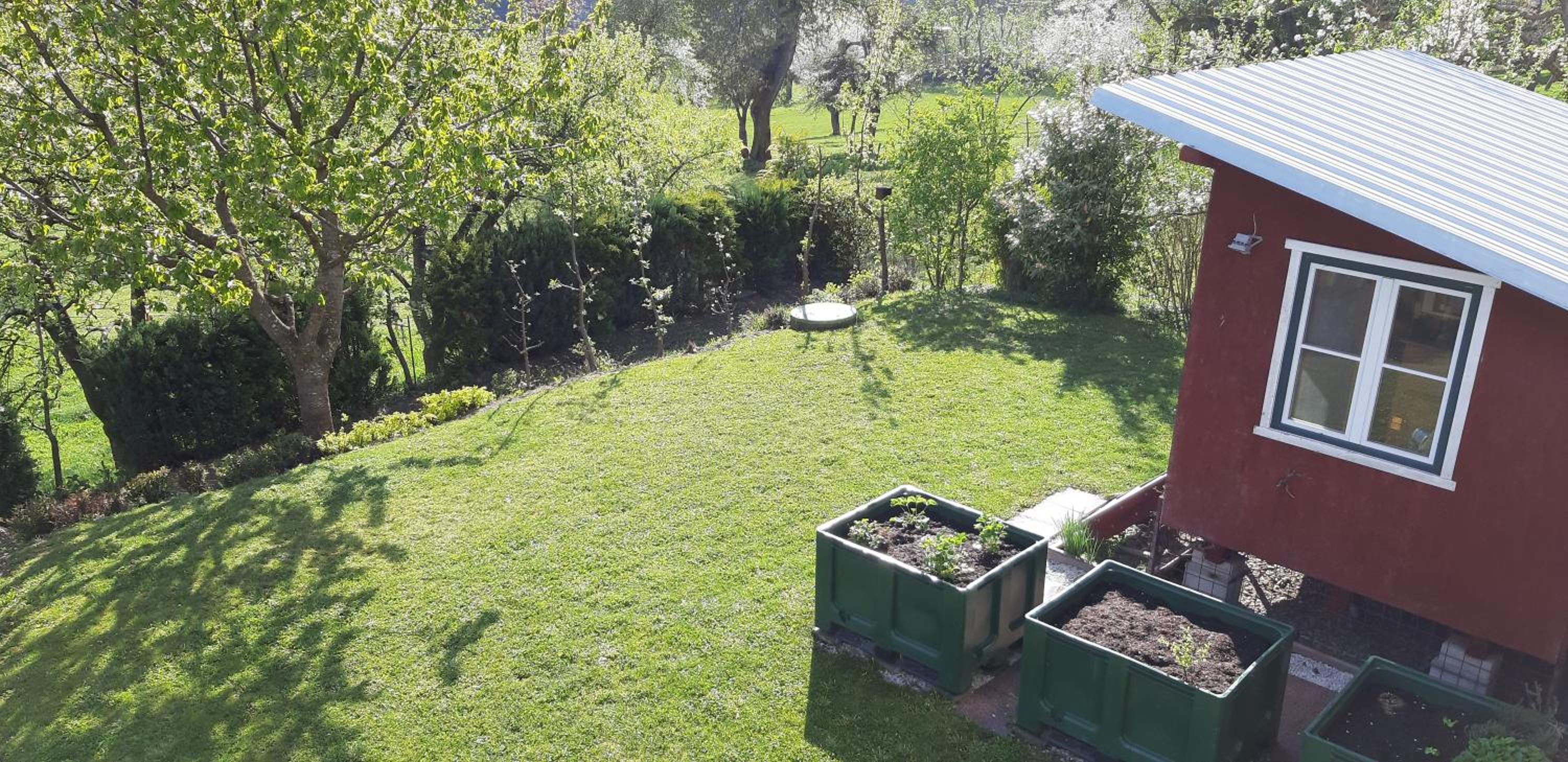 Photo 14
