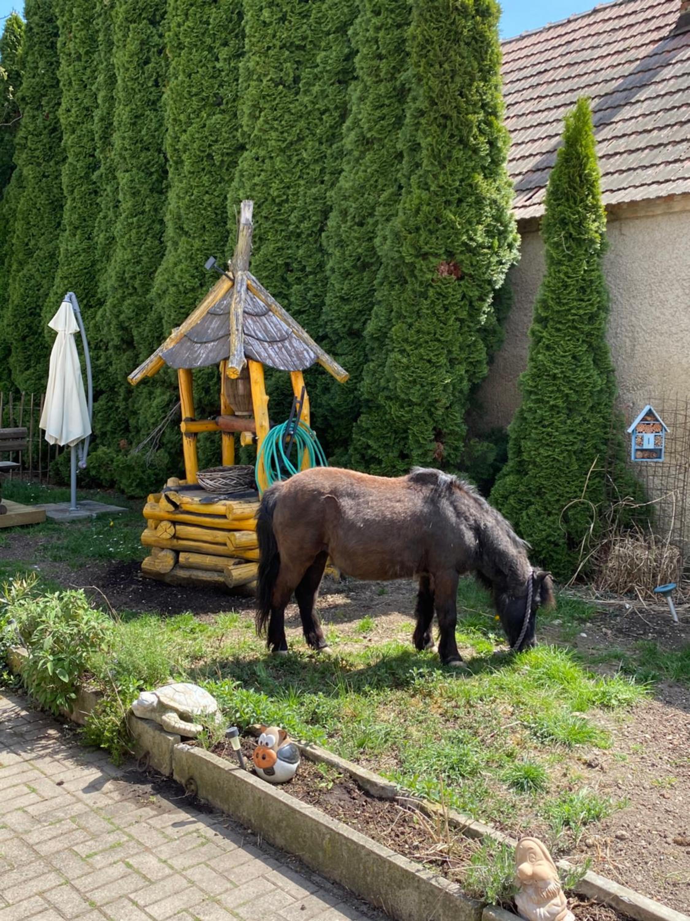 Ferienhaus Karin