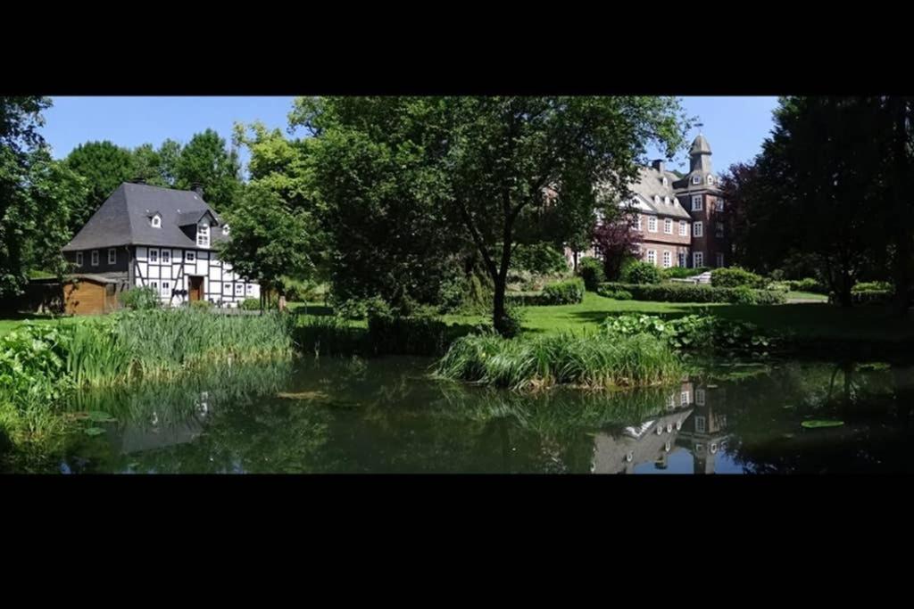 Ferienwohnung „Forsthaus Bigge“ view 5