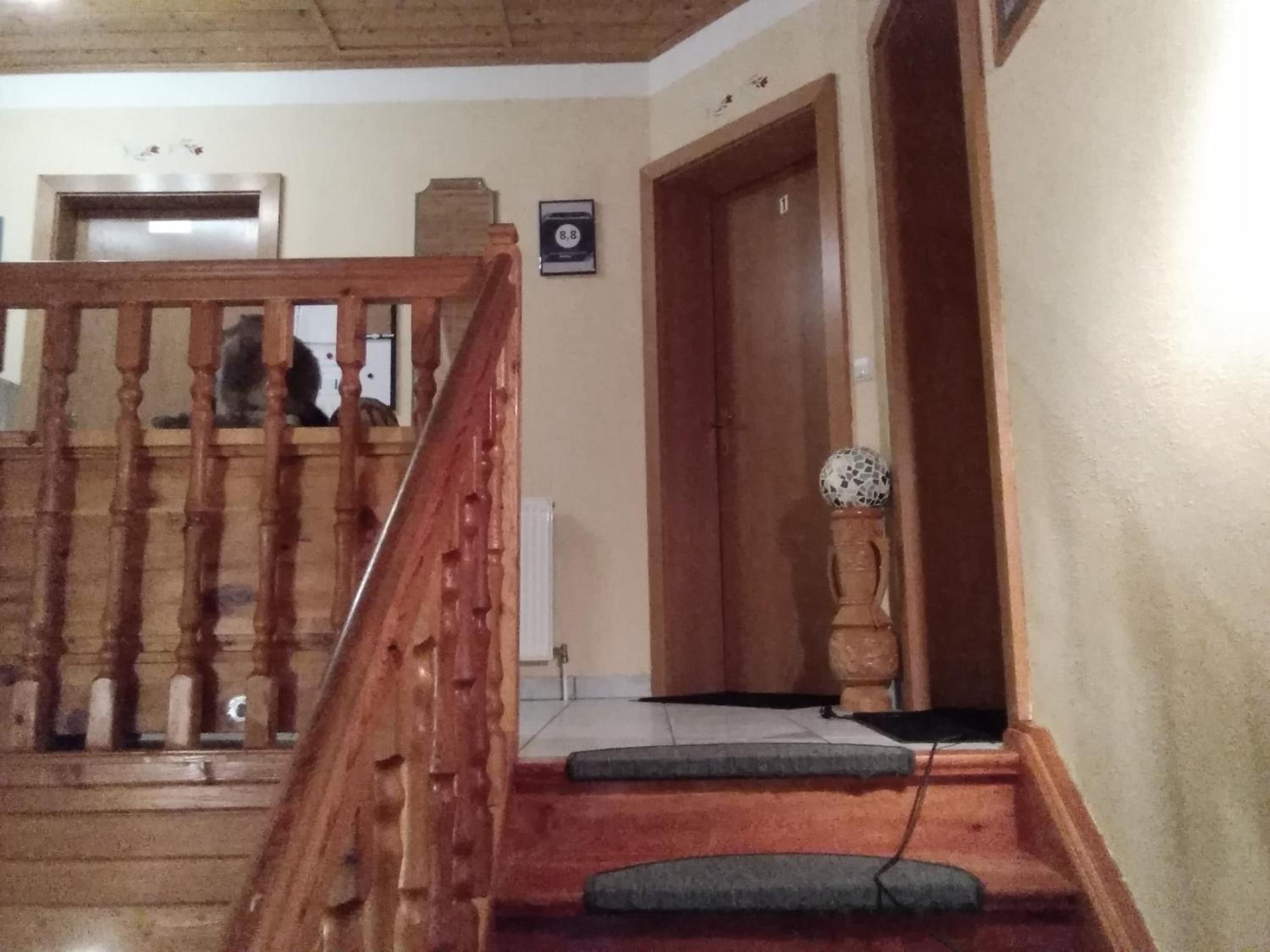 Photo 43
