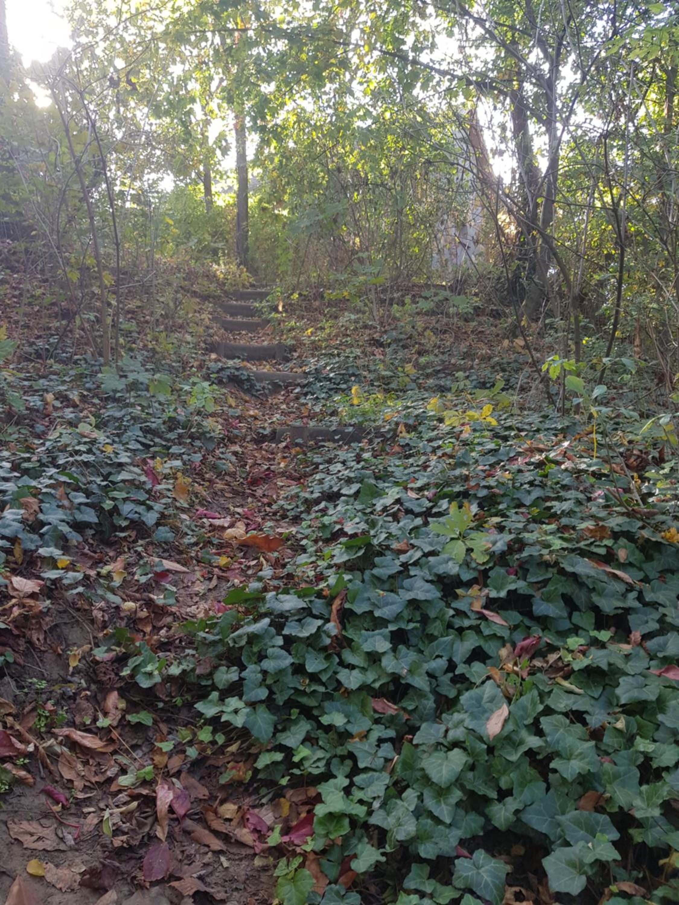 Photo 18