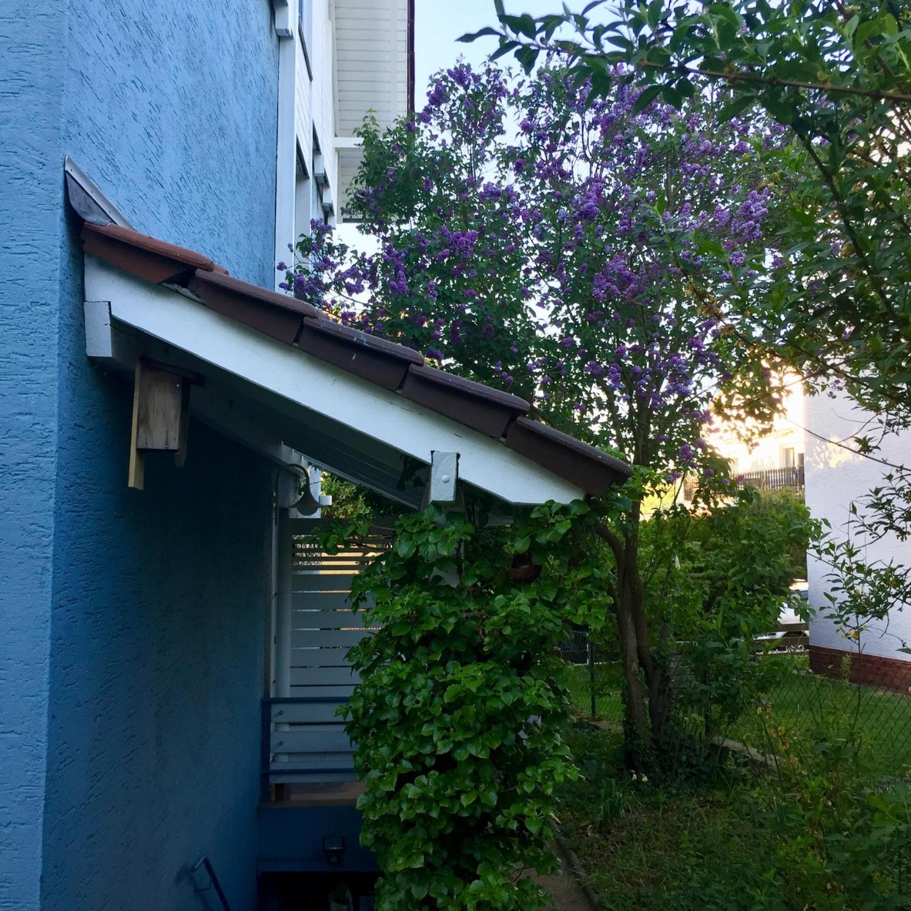 Blaues Haus