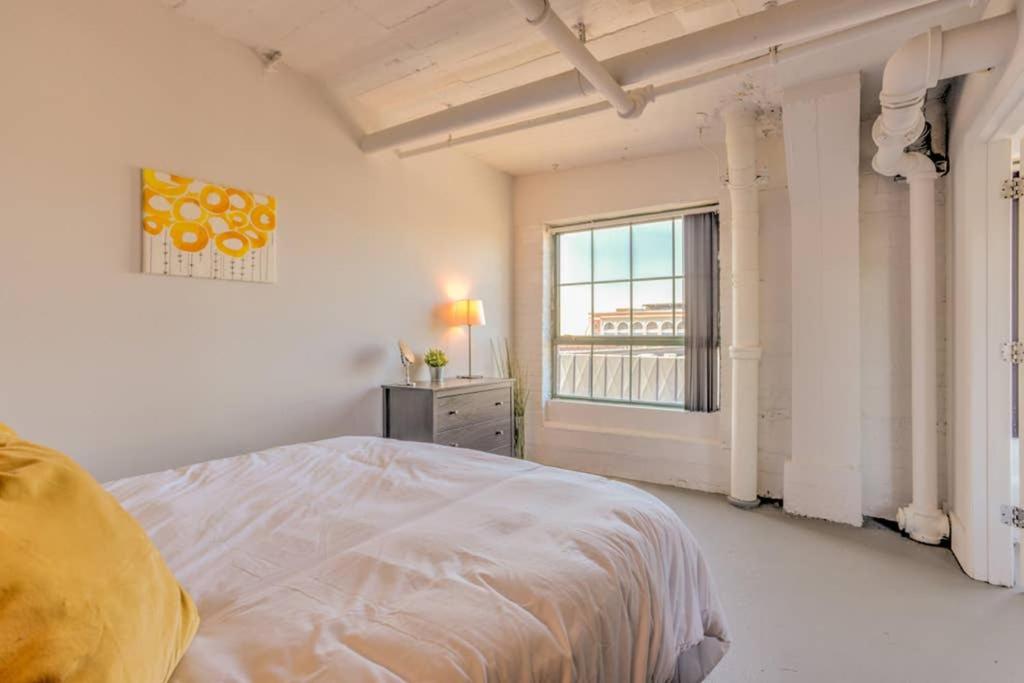 Vogue loft walk to CityMu/Cards/Aquarium/ConvCtr view 2
