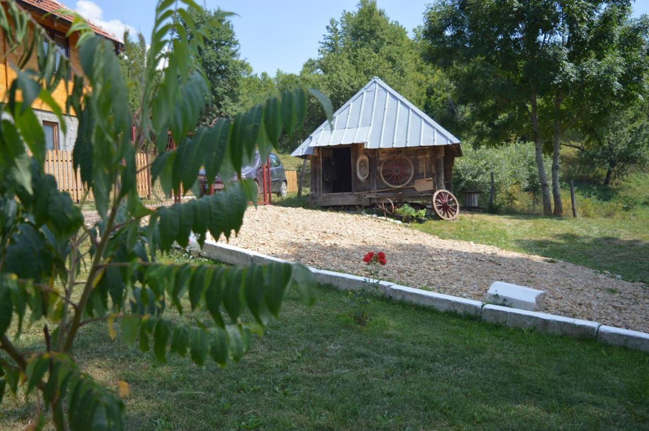 Photo 44