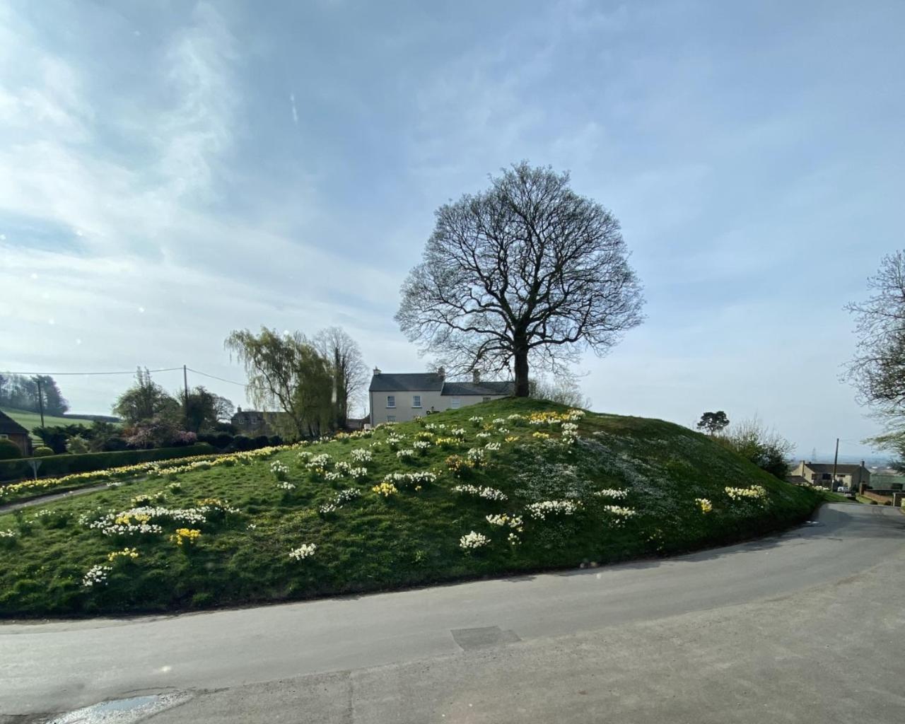 The Carpenters Arms — 8