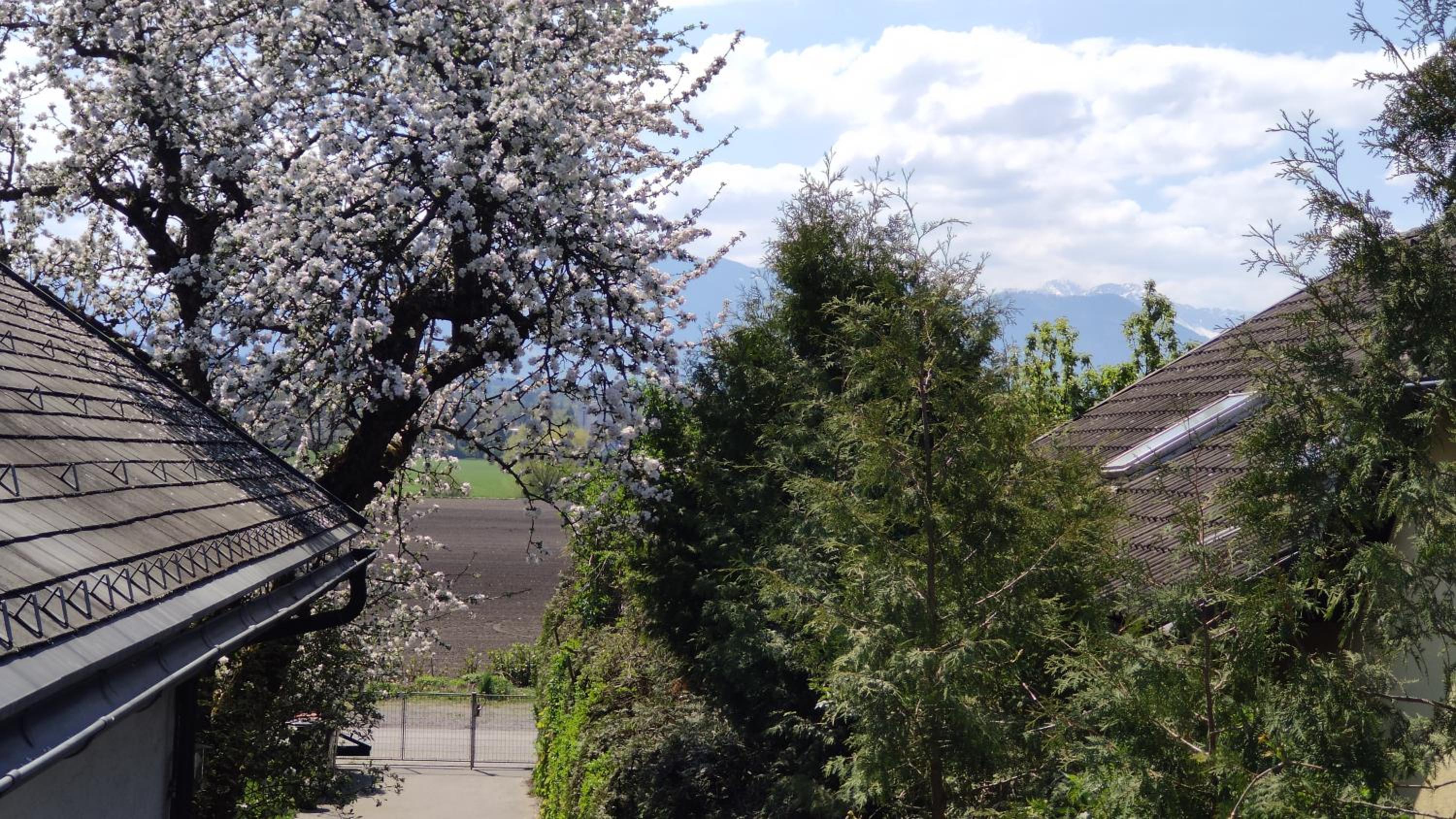 Appartement Karawankenblickstraße view 4