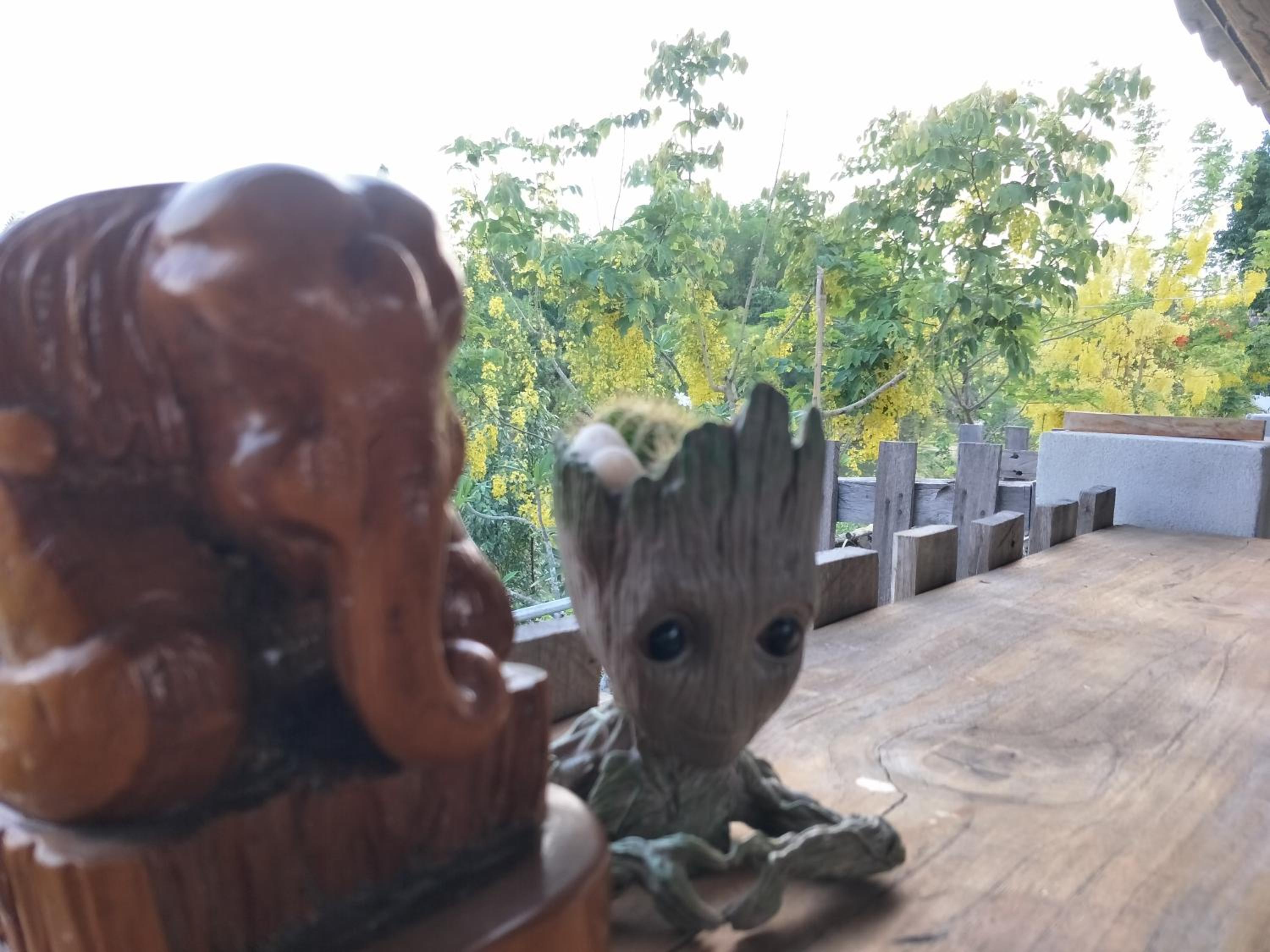 Teak villa
