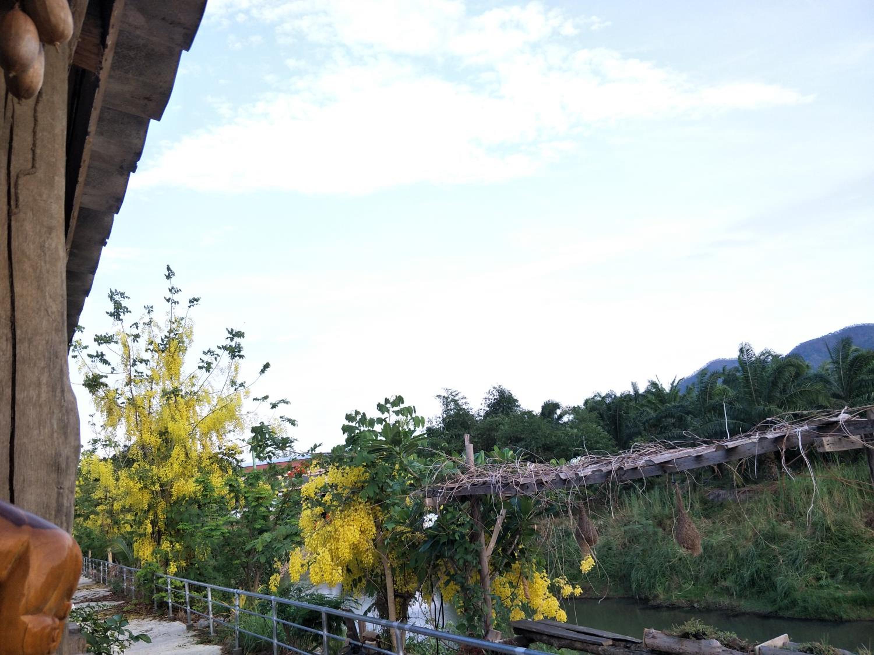 Teak villa