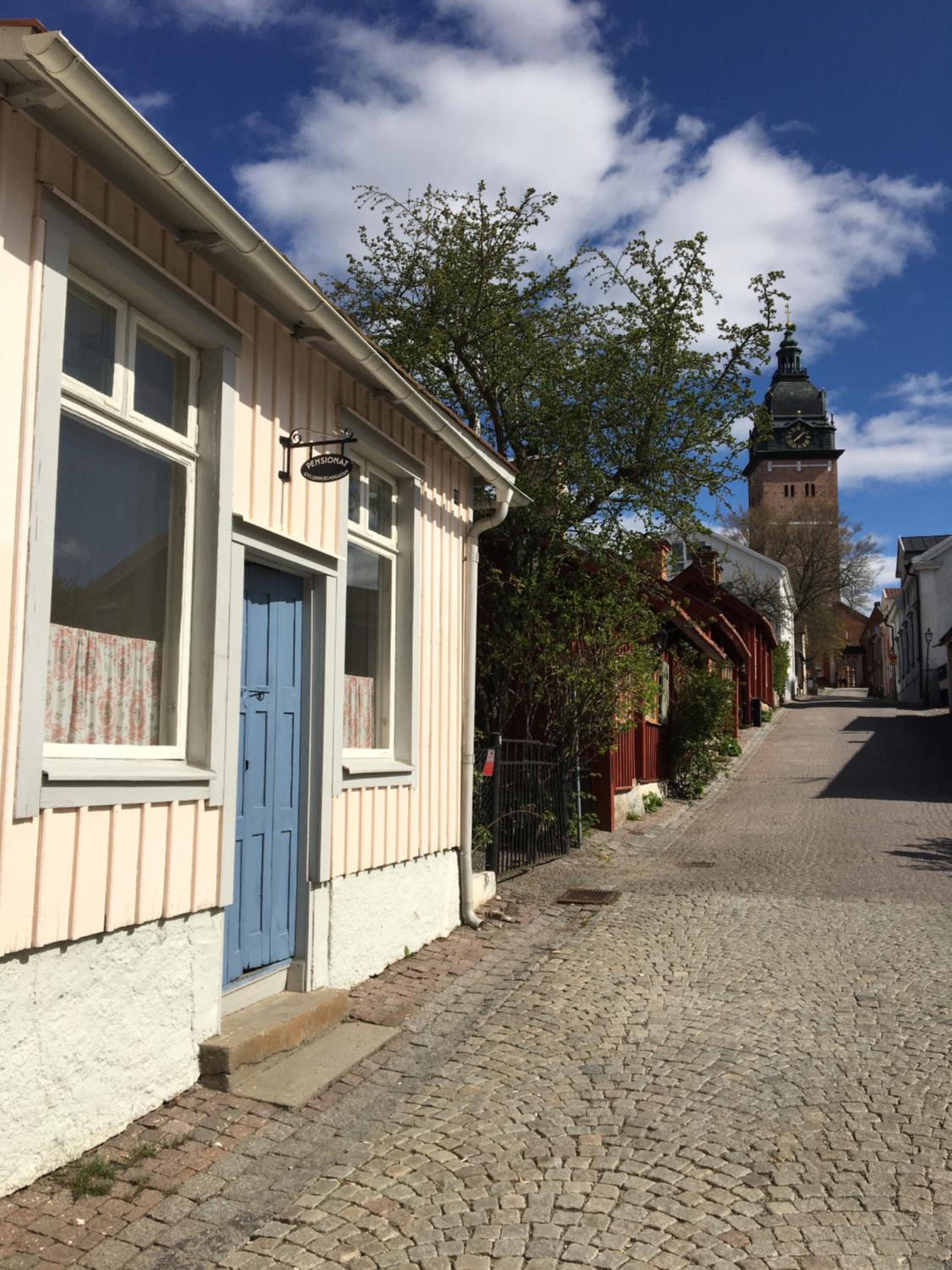 Photo 16