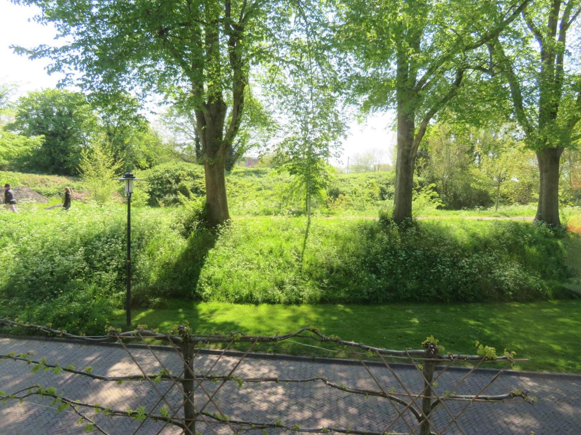 Photo 19