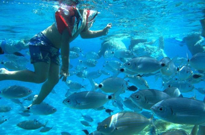 Photo 39