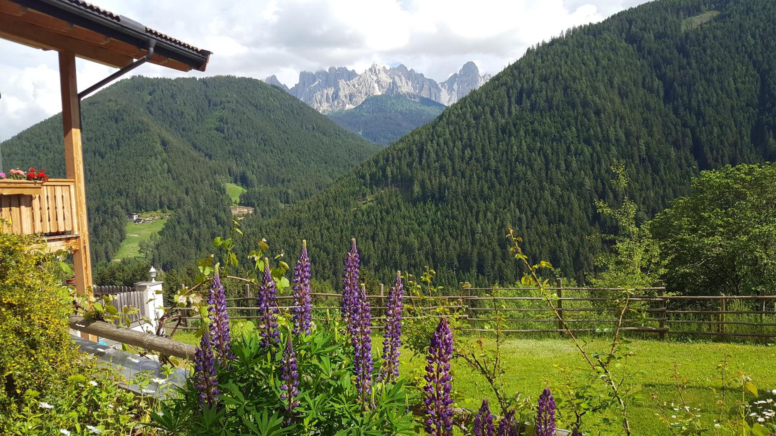 Kellnerhof view 5