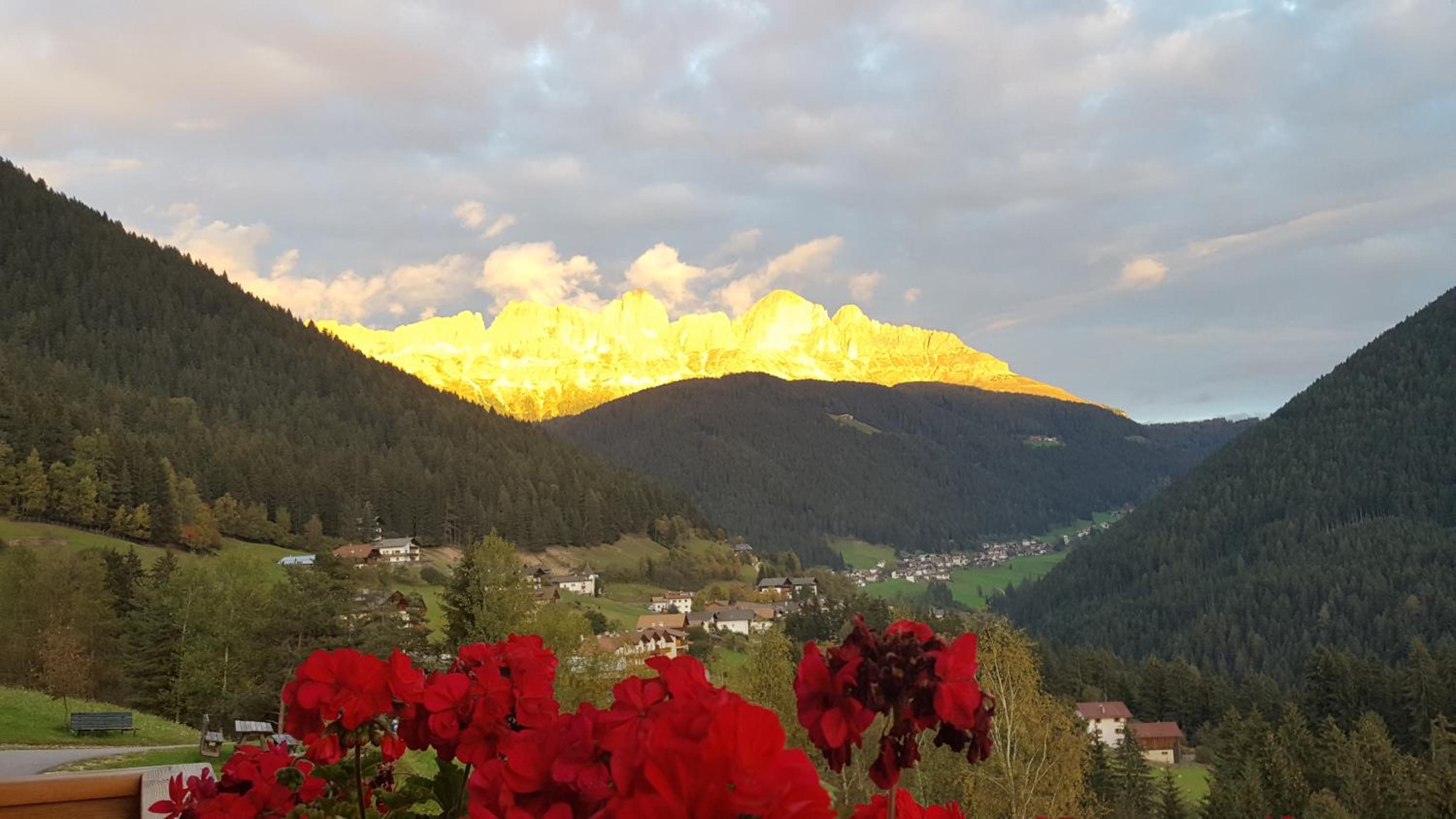 Kellnerhof view 3
