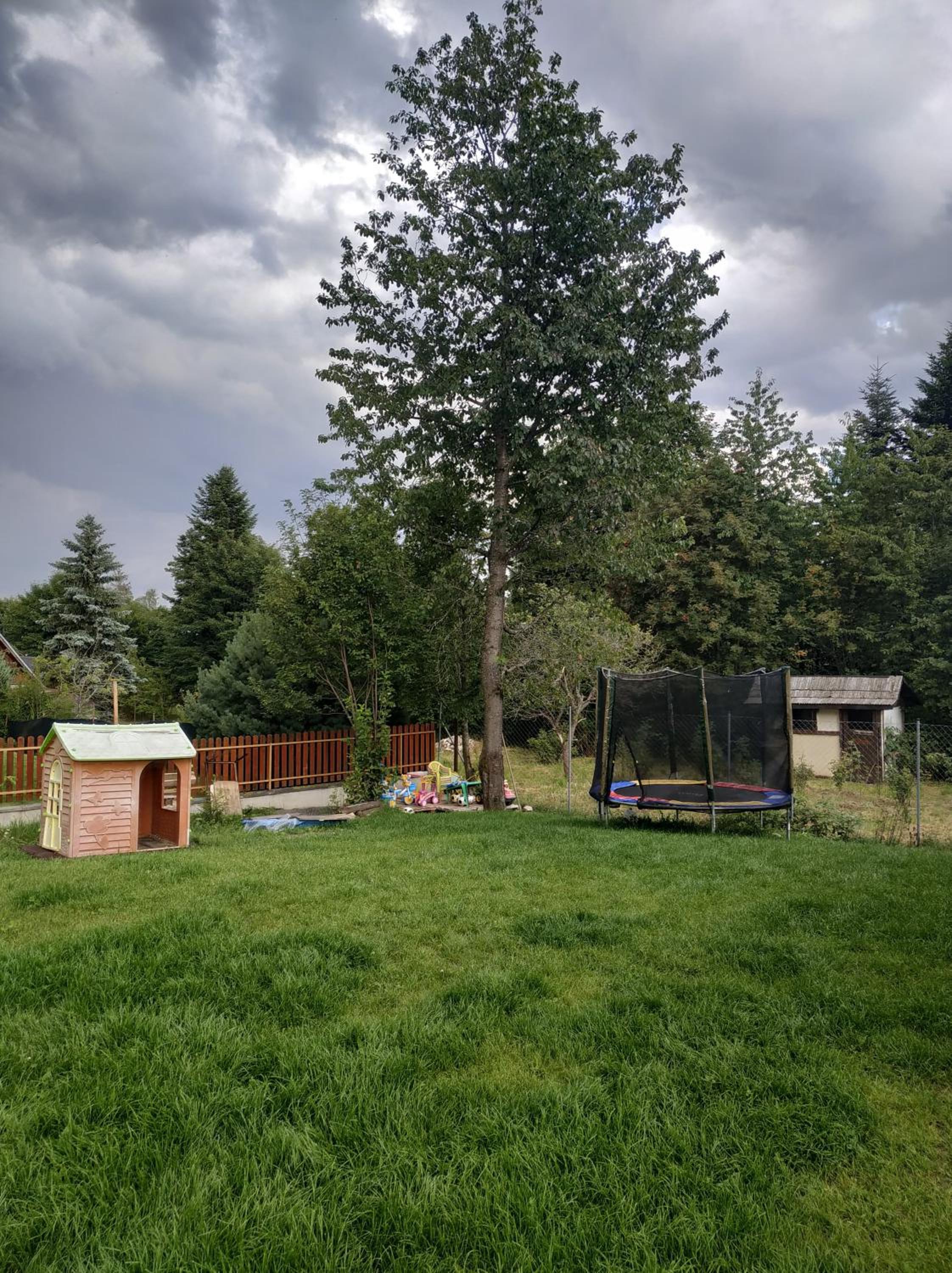 Photo 39