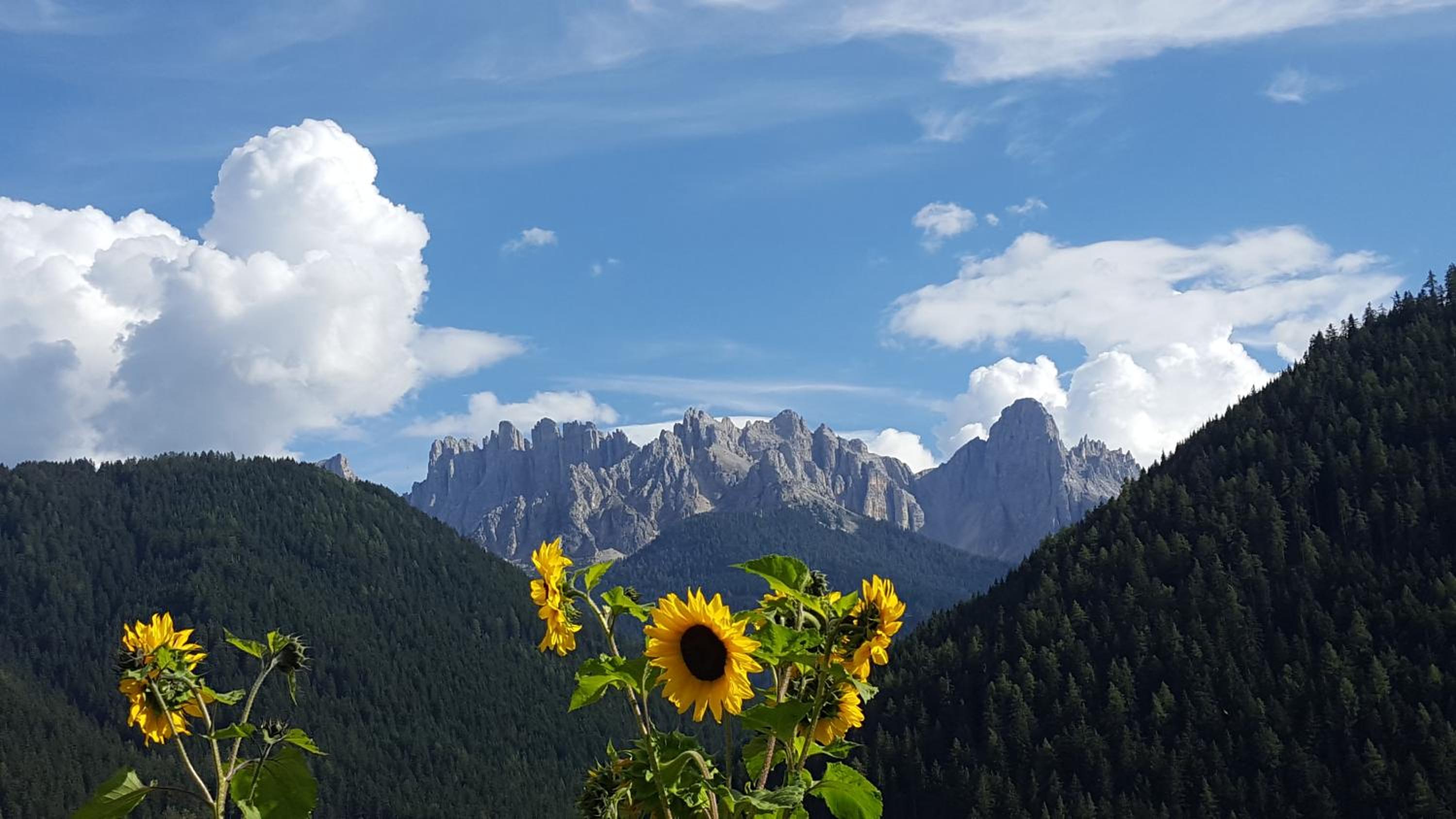 Kellnerhof view 2
