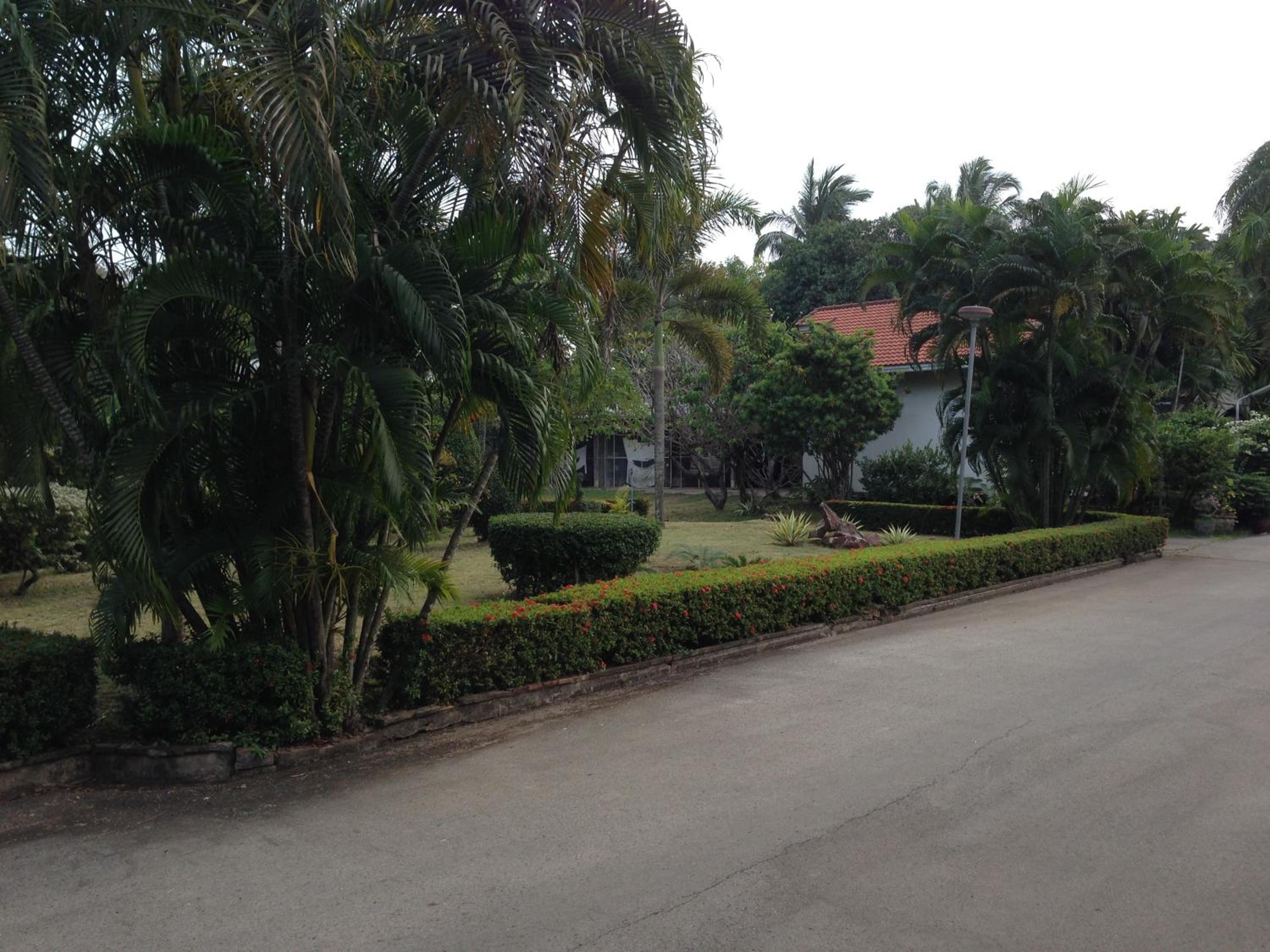 Photo 29