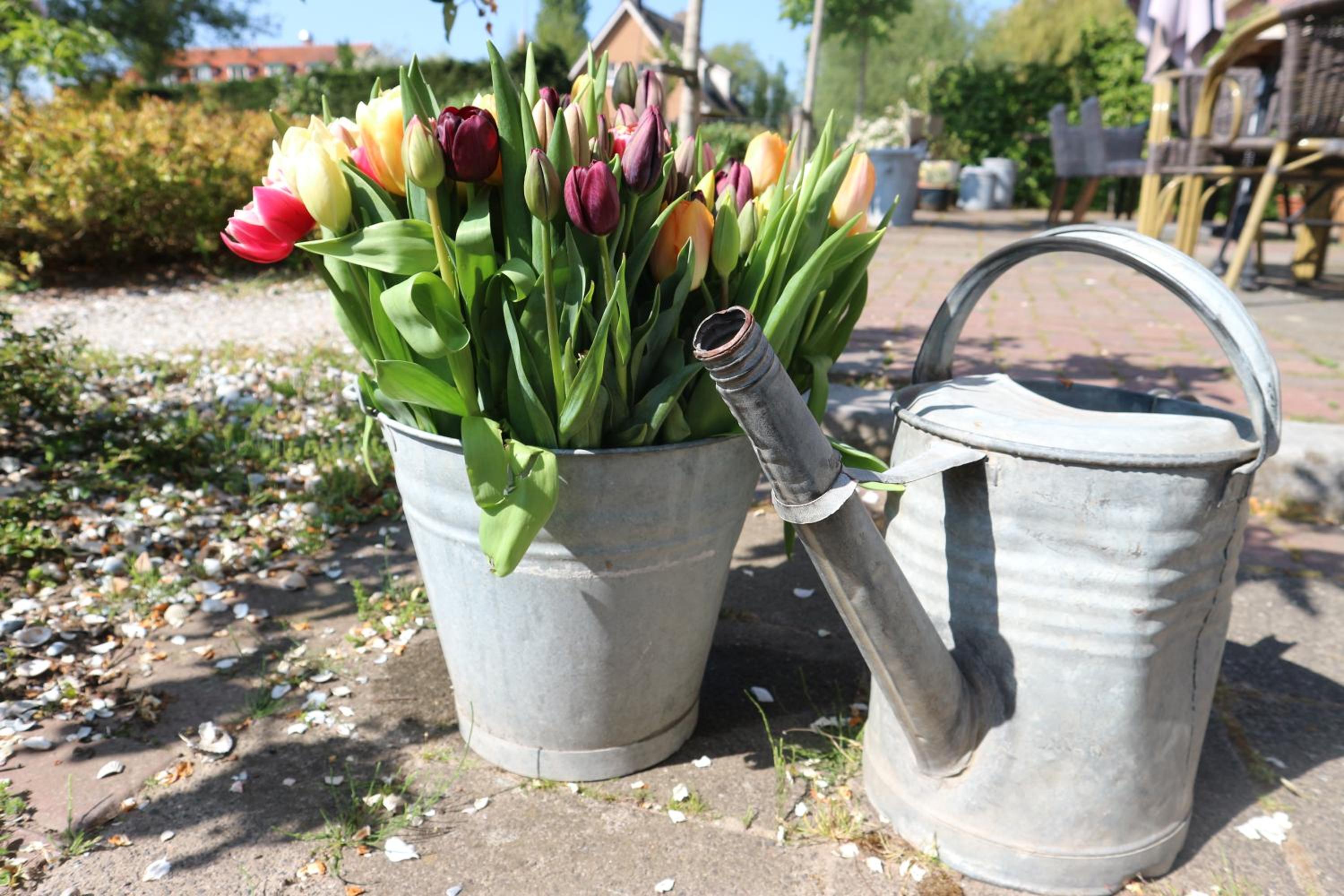 B&B - Pension Het Oude Dorp view 3