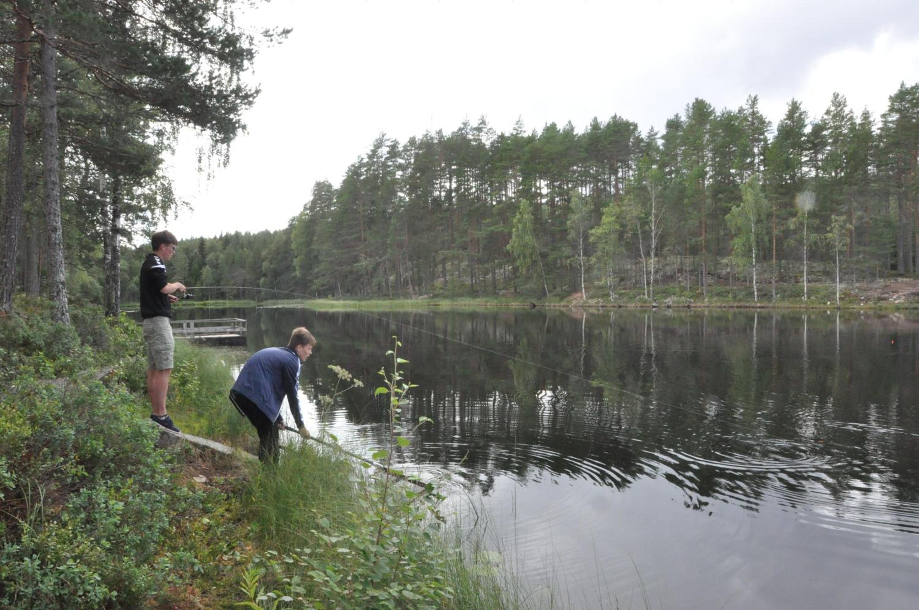 Stuga 5 Varmland