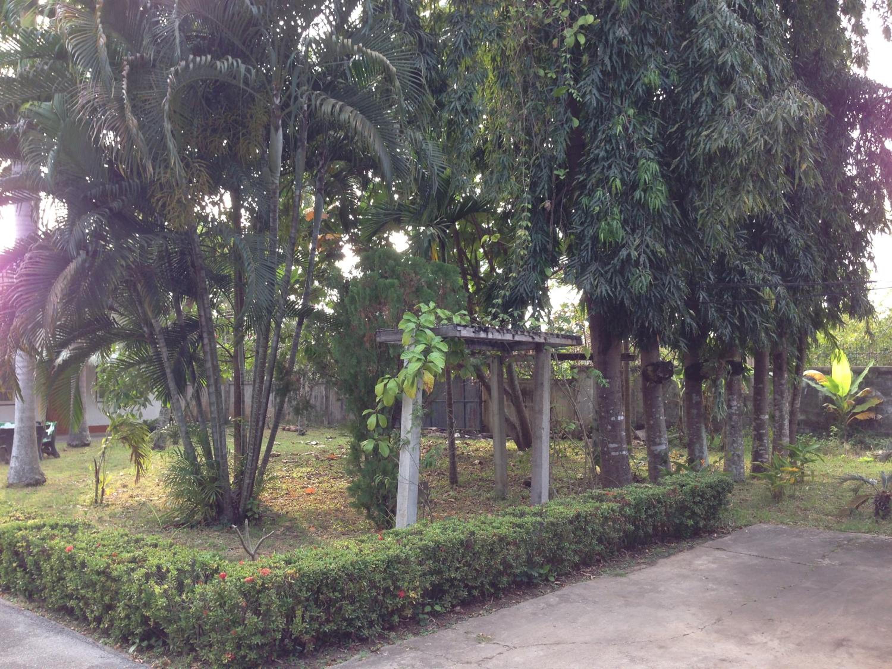 Photo 37
