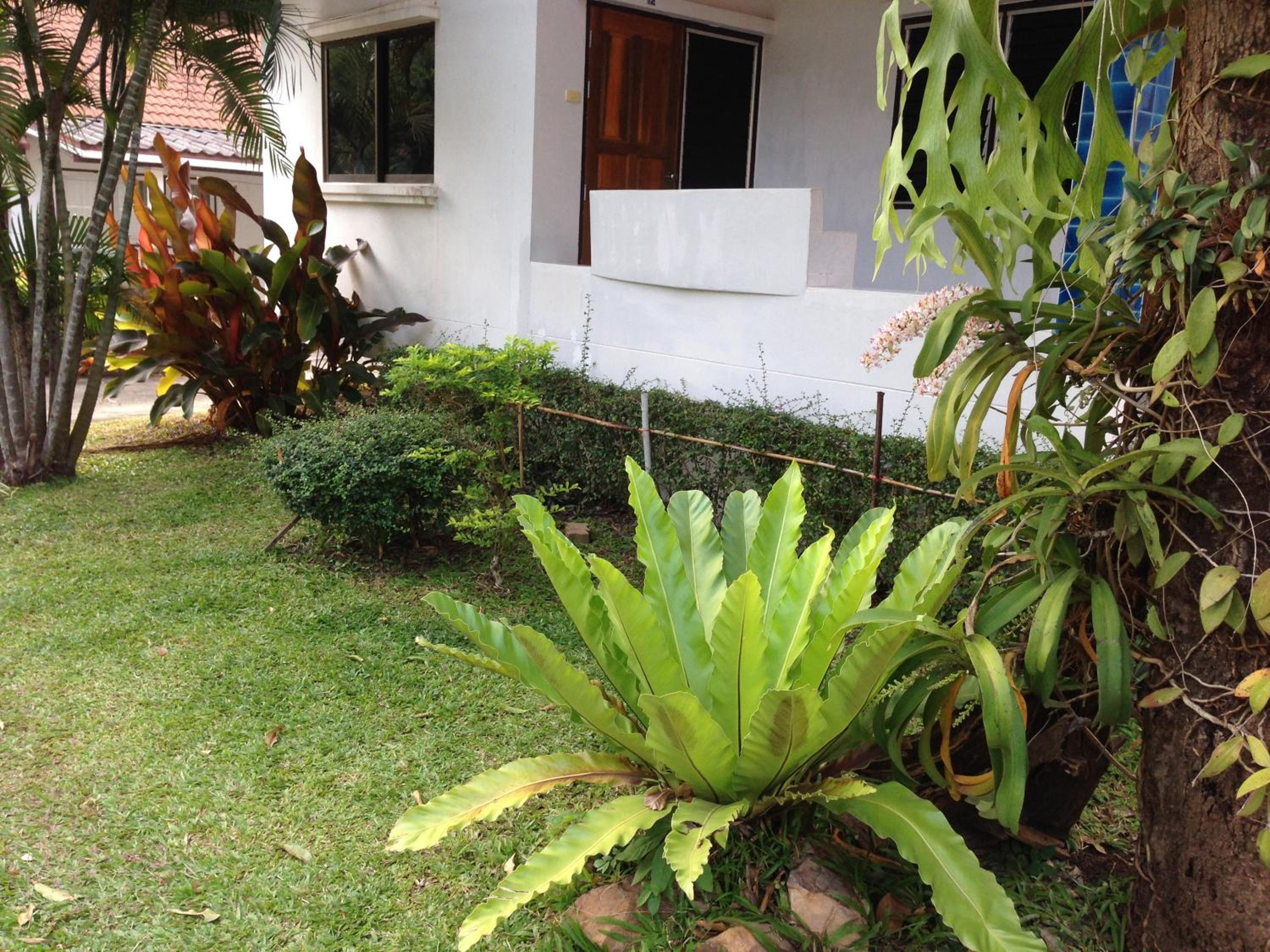 Photo 26