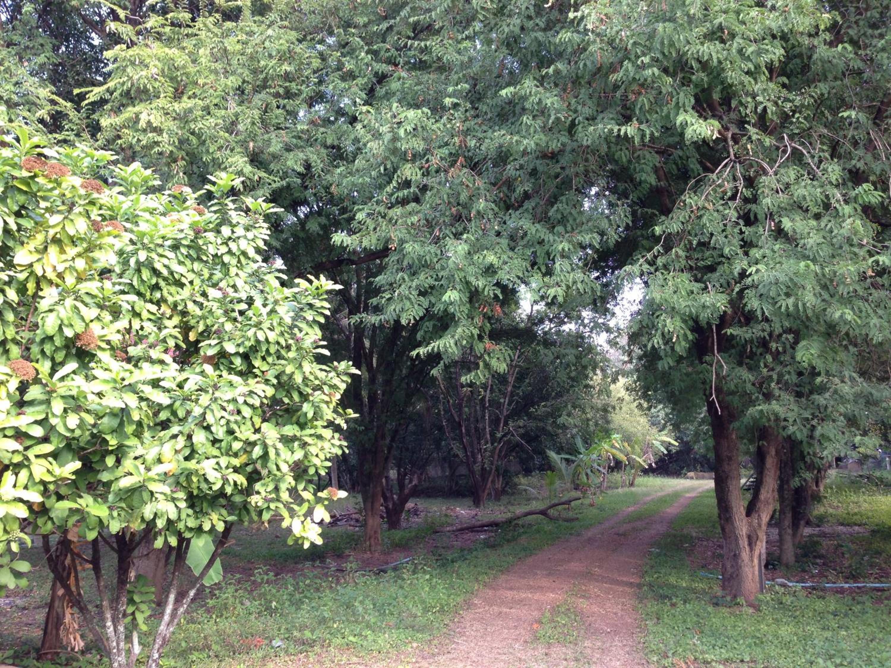 Photo 39