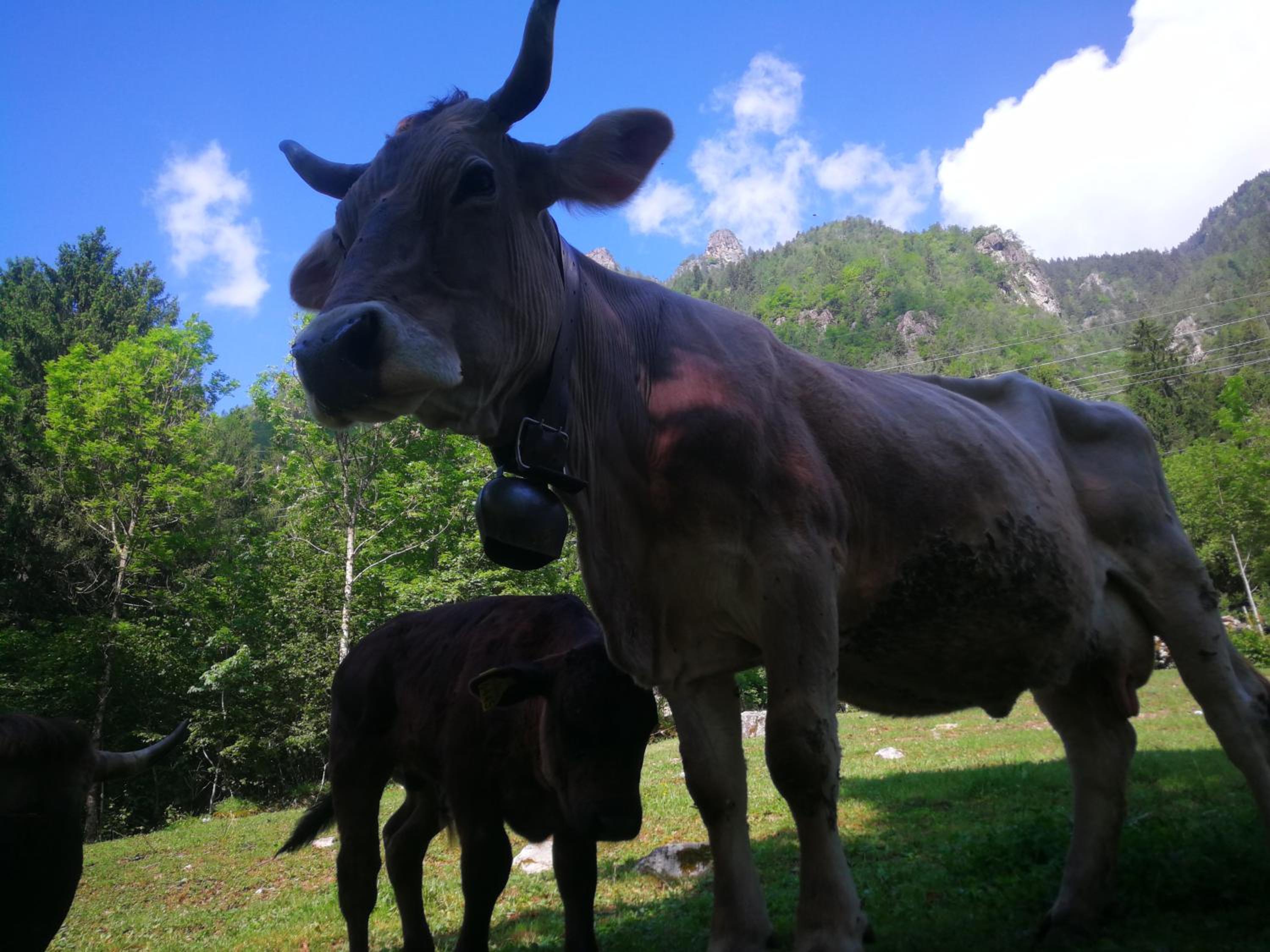 Agriturismo Alle Baite