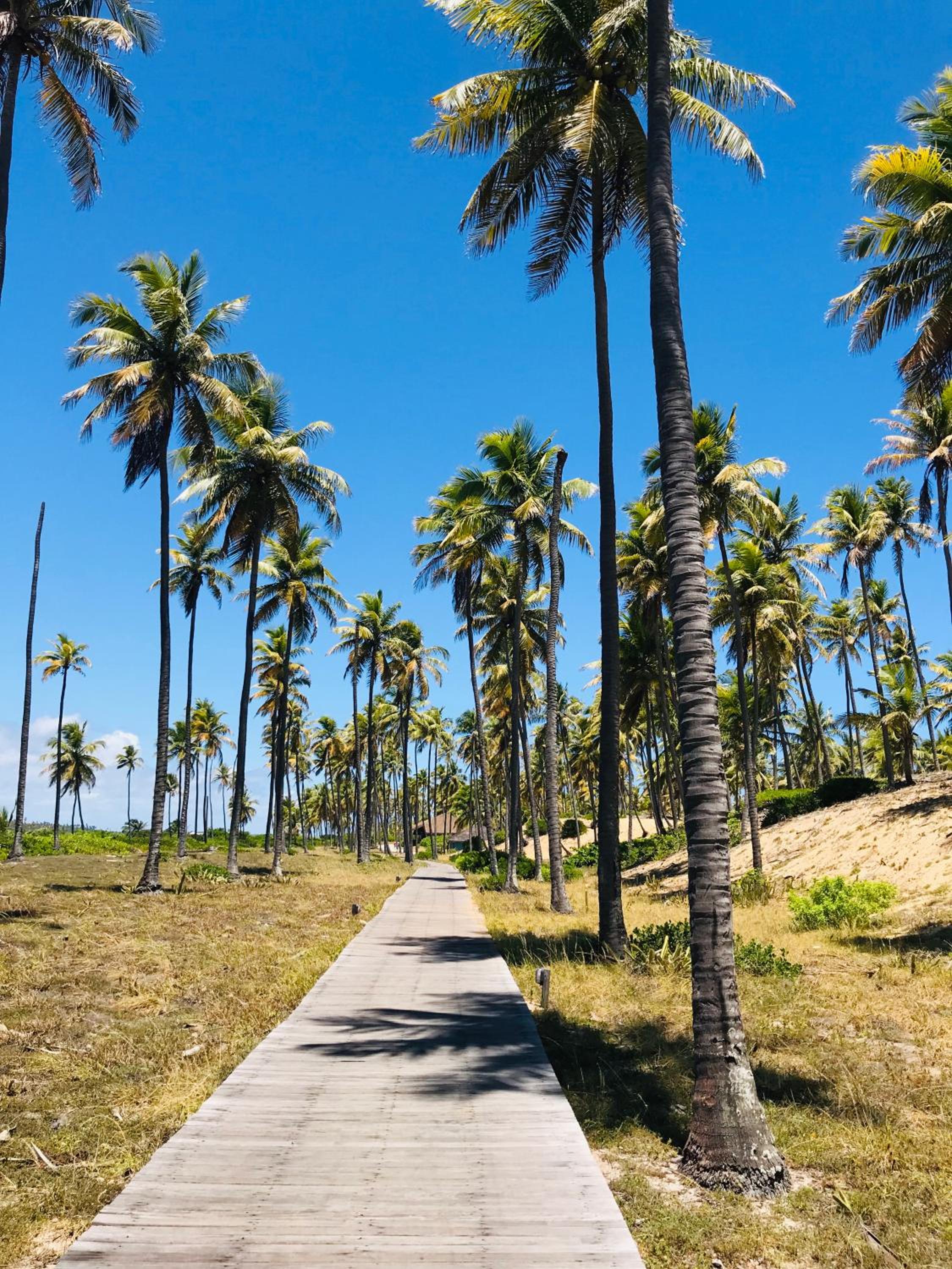Casa Peixinho - Reserva Imbassaí 3 suítes