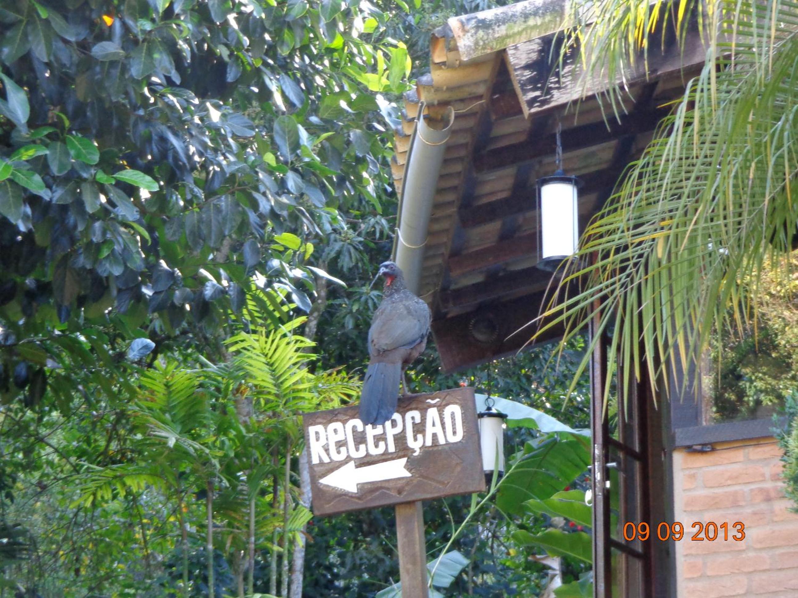 Photo 40