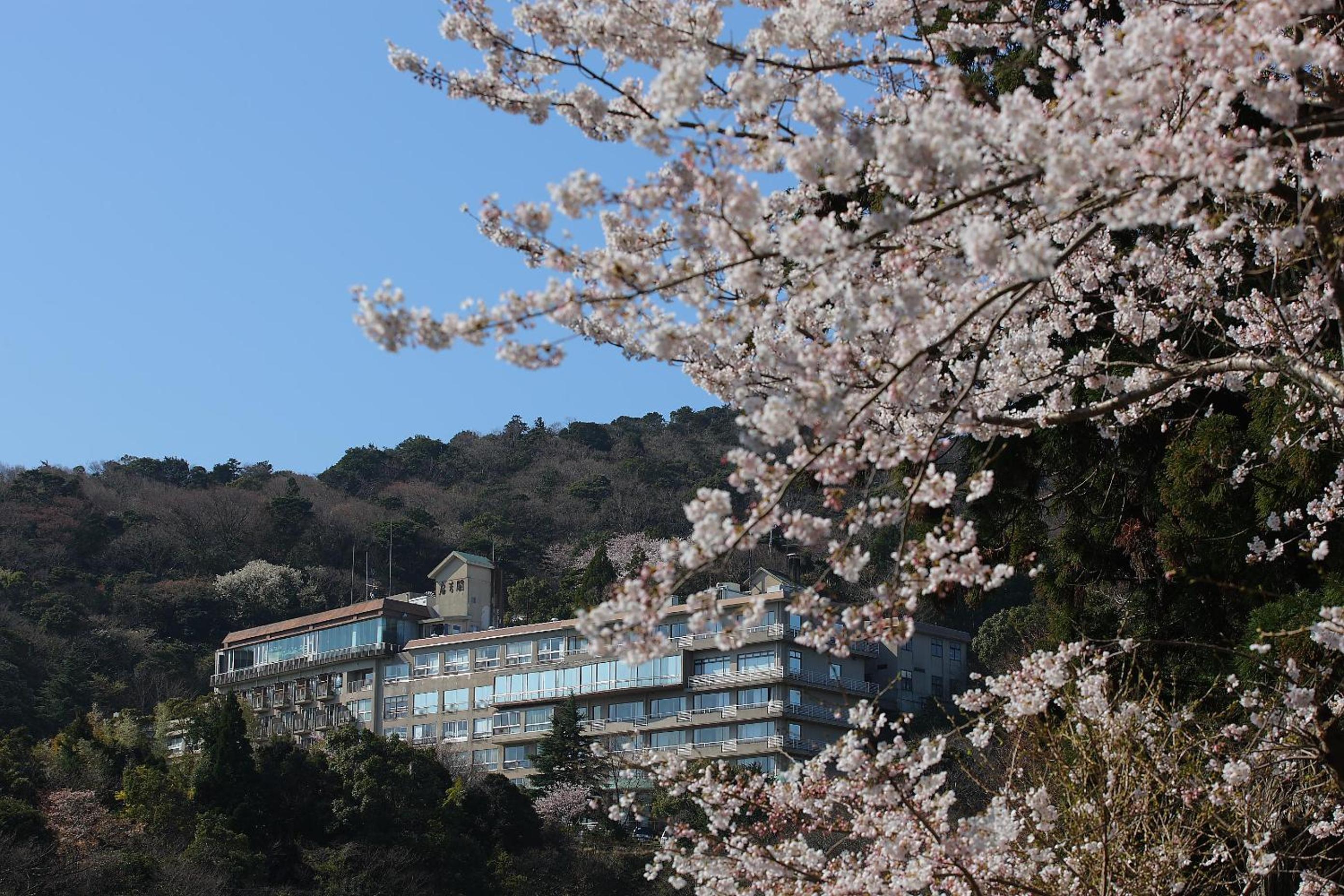 Senpokaku