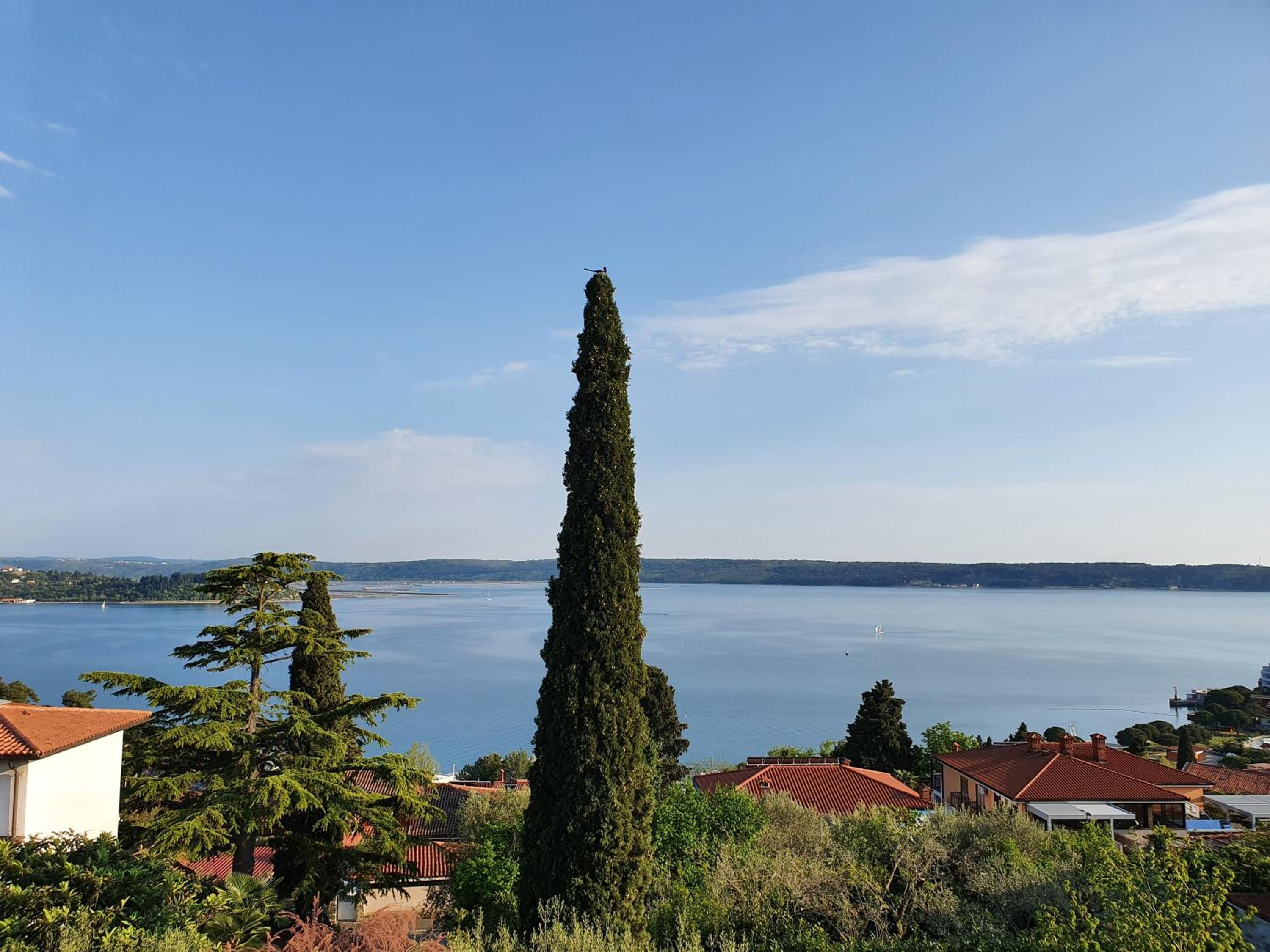 Vila Rosa view 3