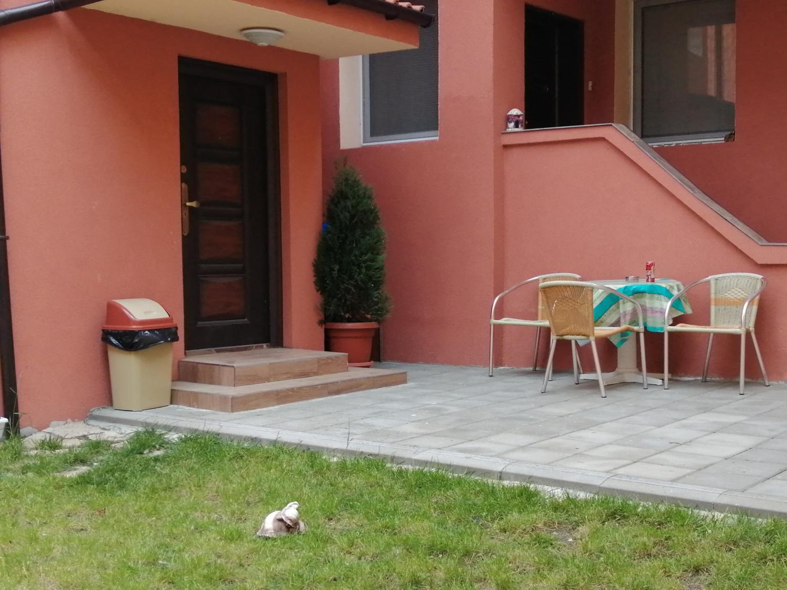 Photo 7