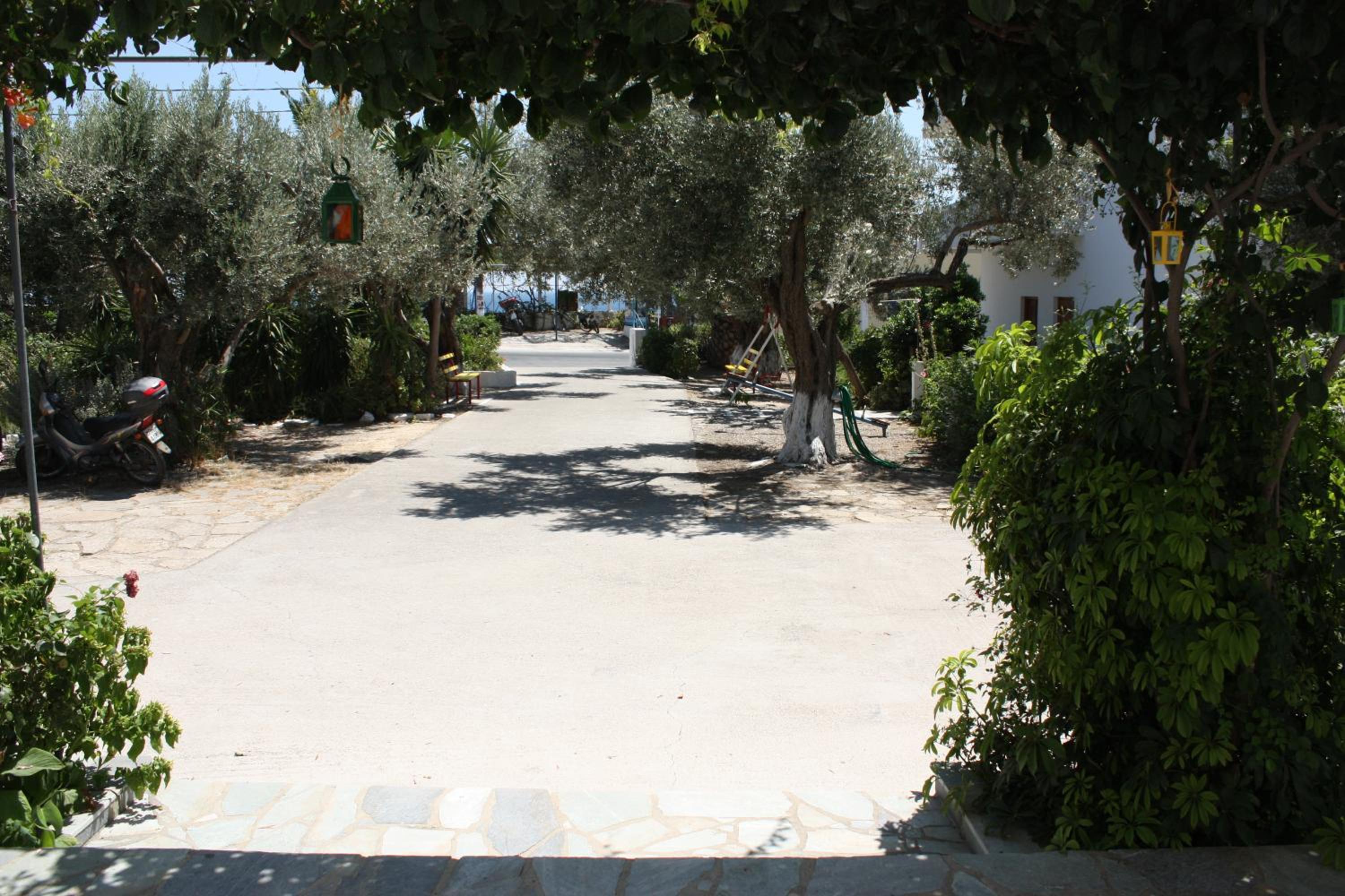 Photo 10