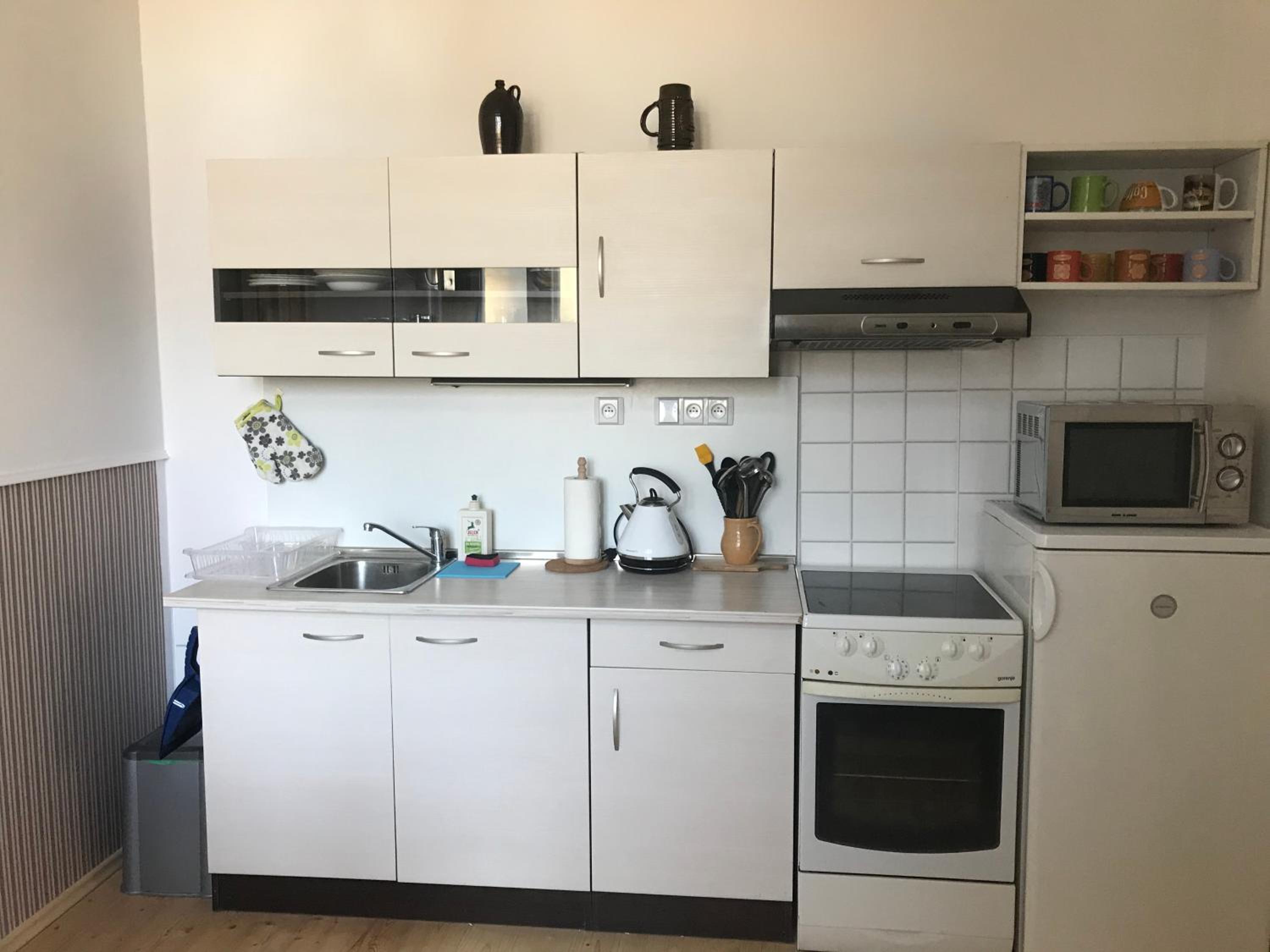 Apartmán U Borovice