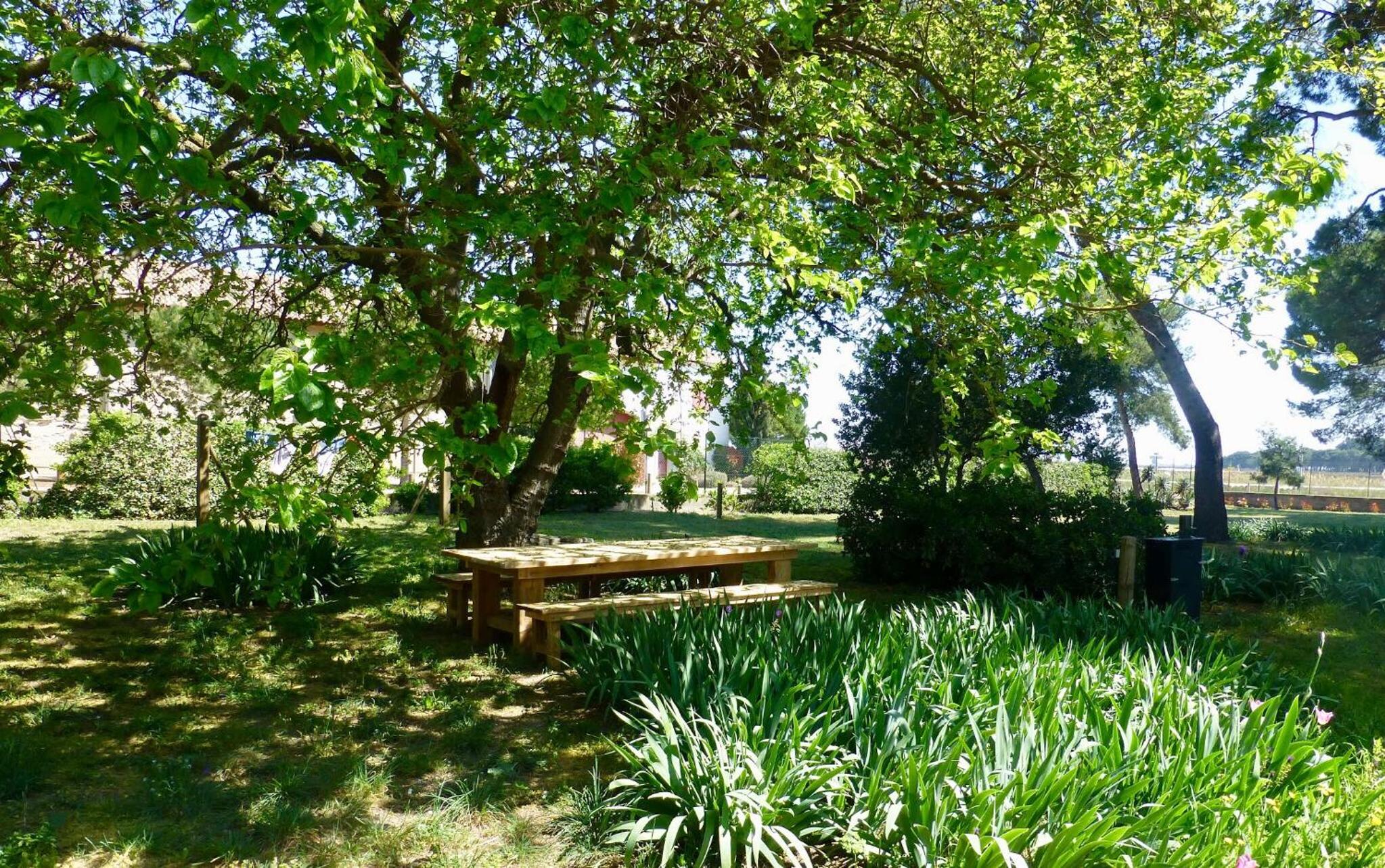 La Maison du Môle, photo 37