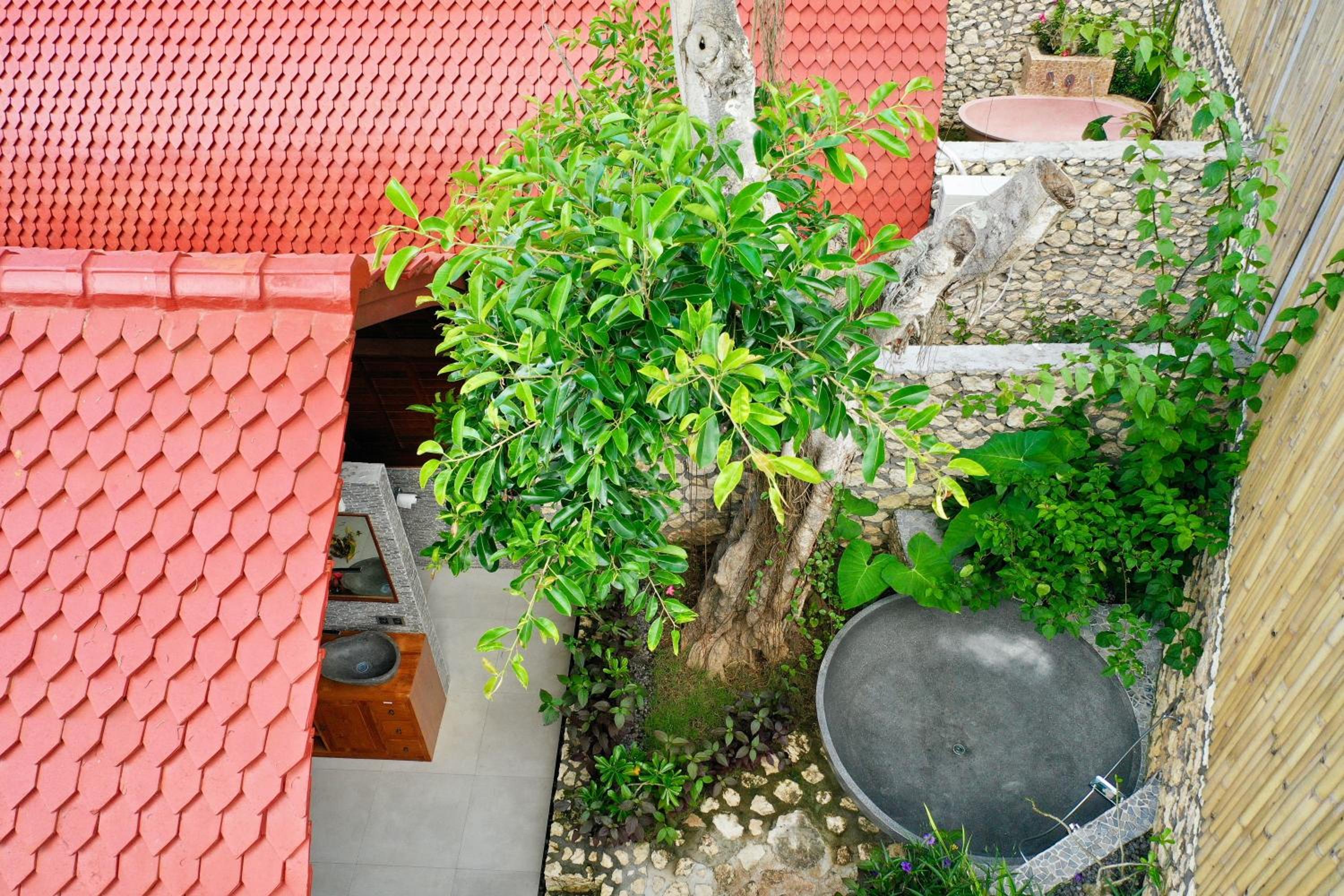 Jungle Paradise view 3