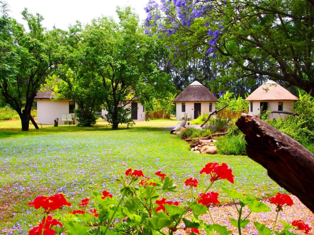Addo African Home view 5