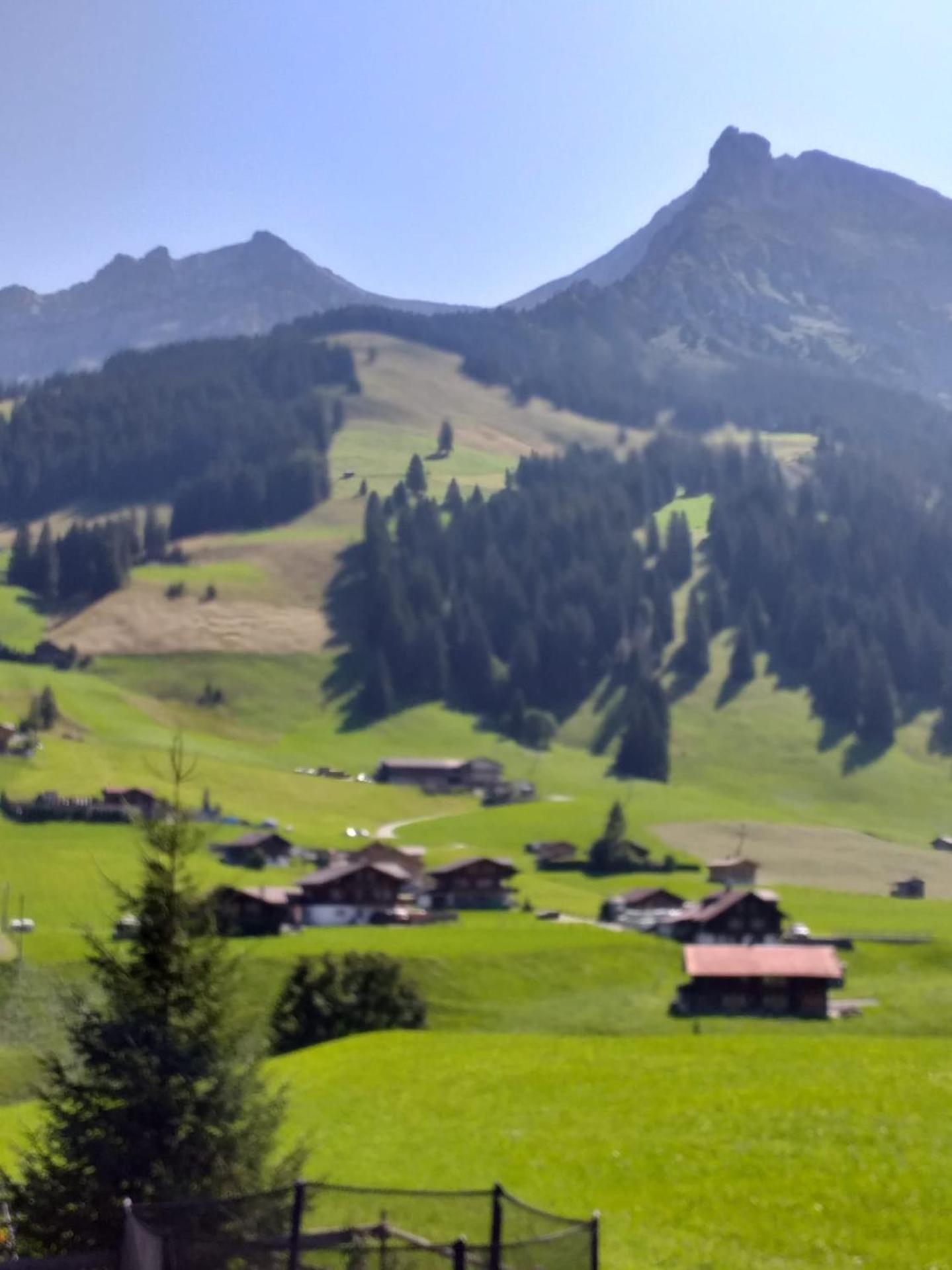 Chalet Aloa