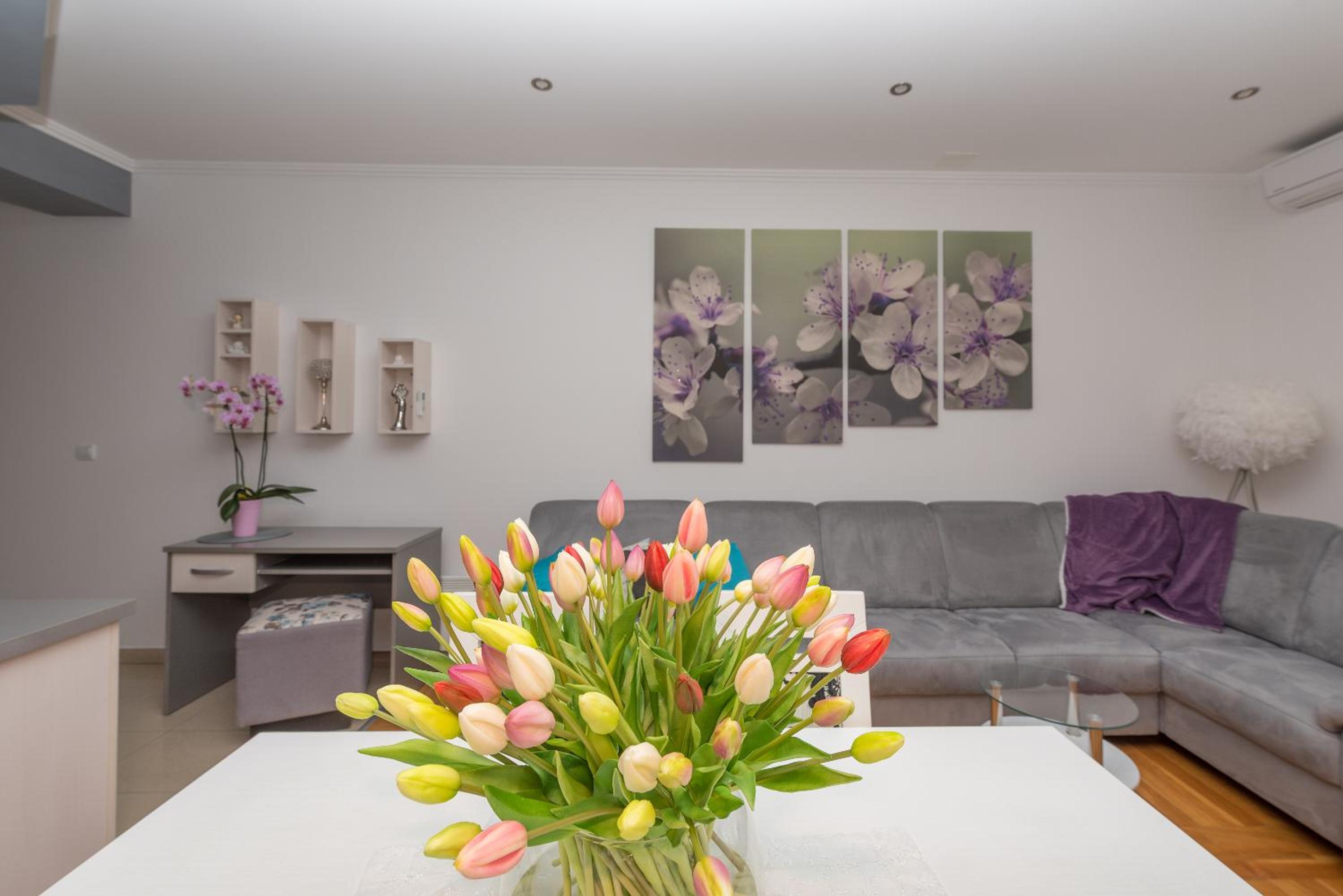 Long Apartment