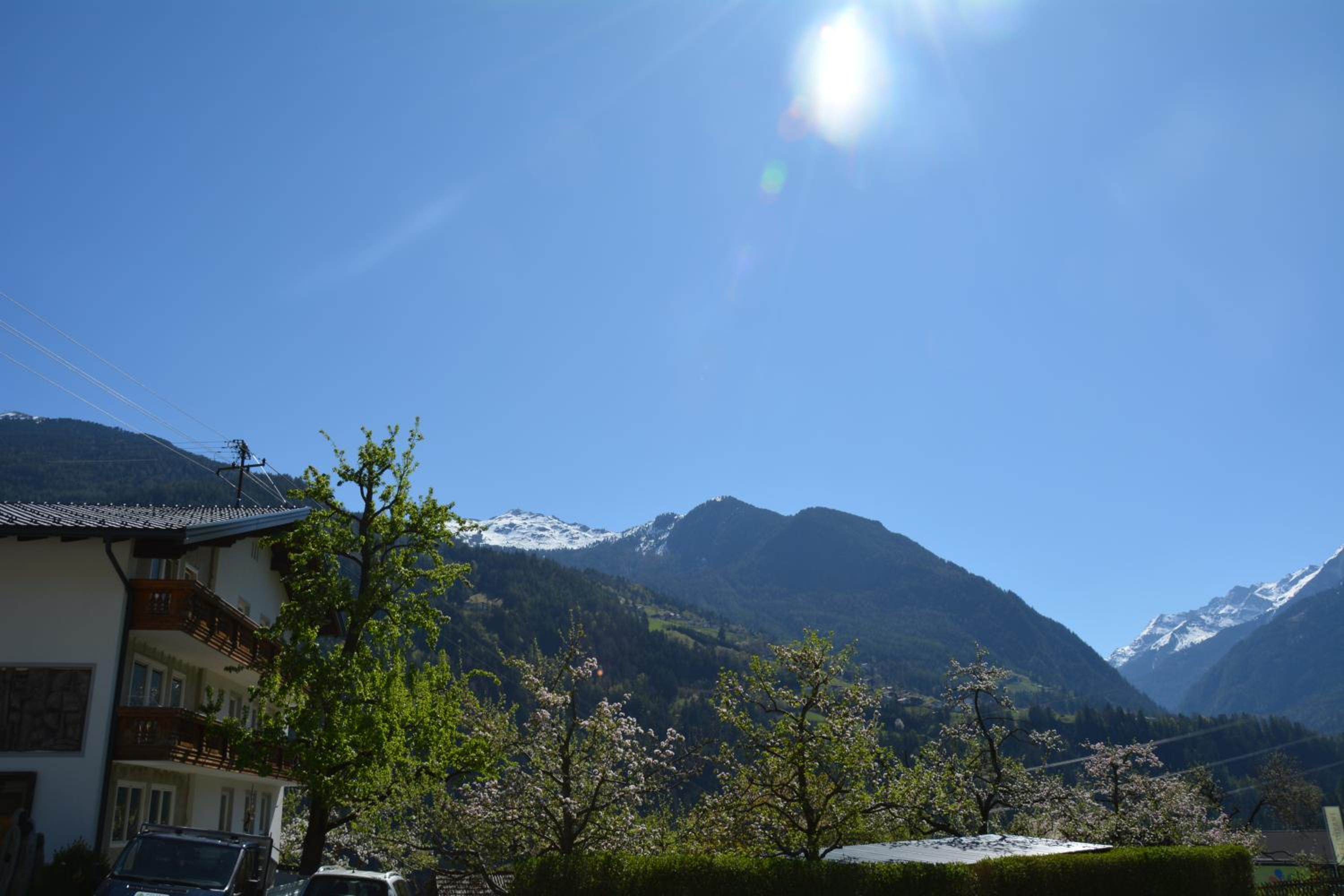 Photo 43