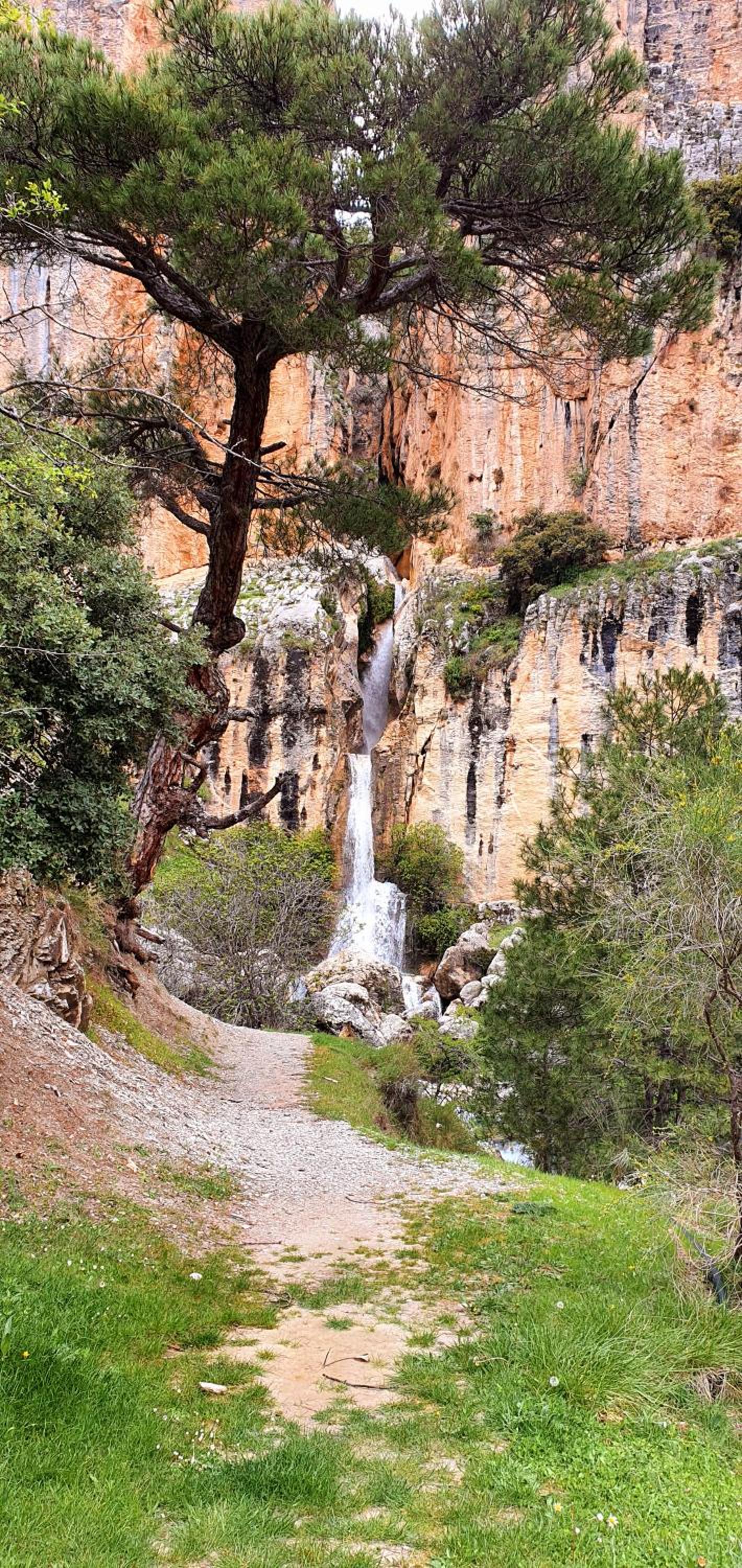 Saluda Alta view 5