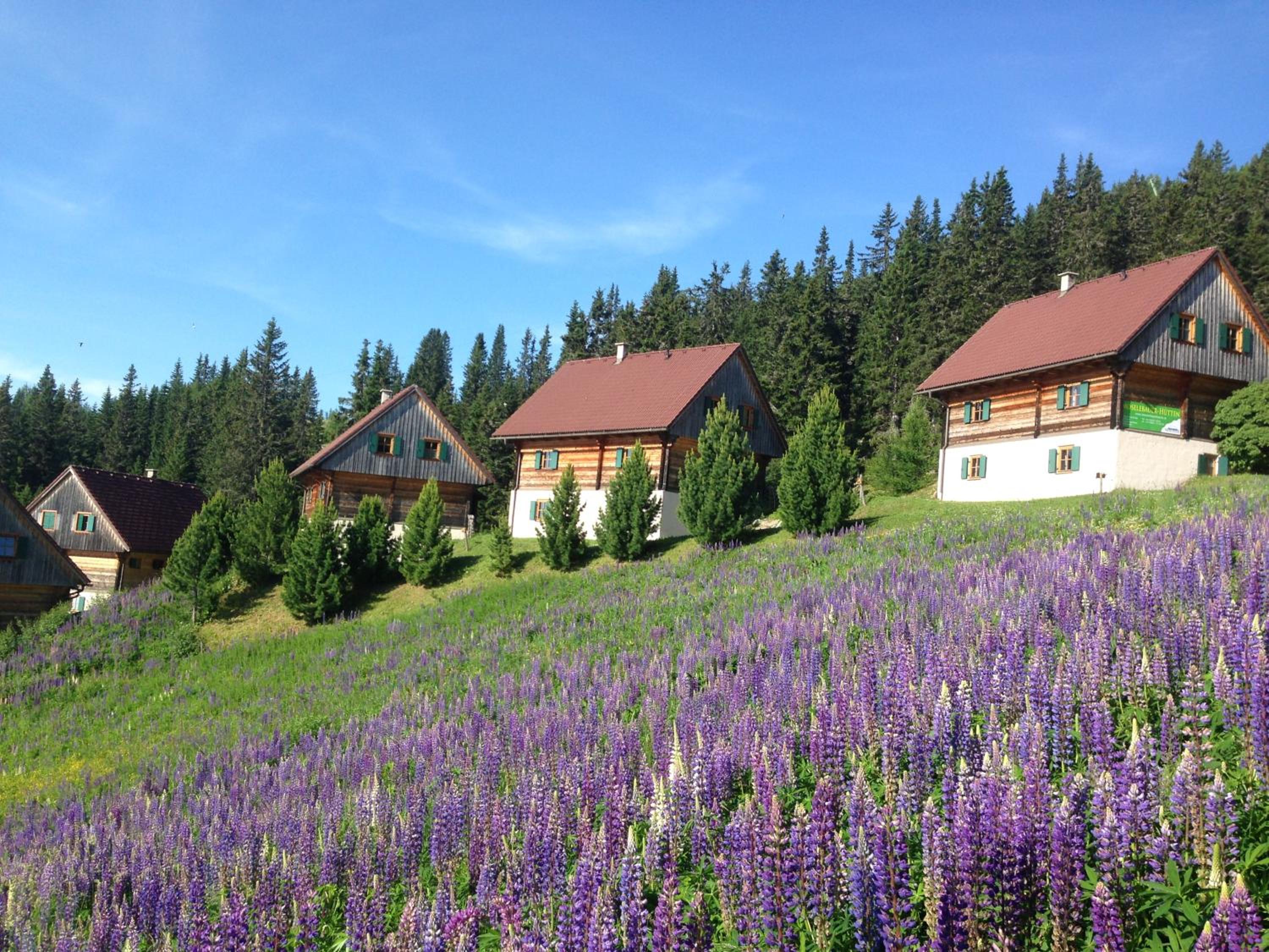 MoselebauerAlm view 2