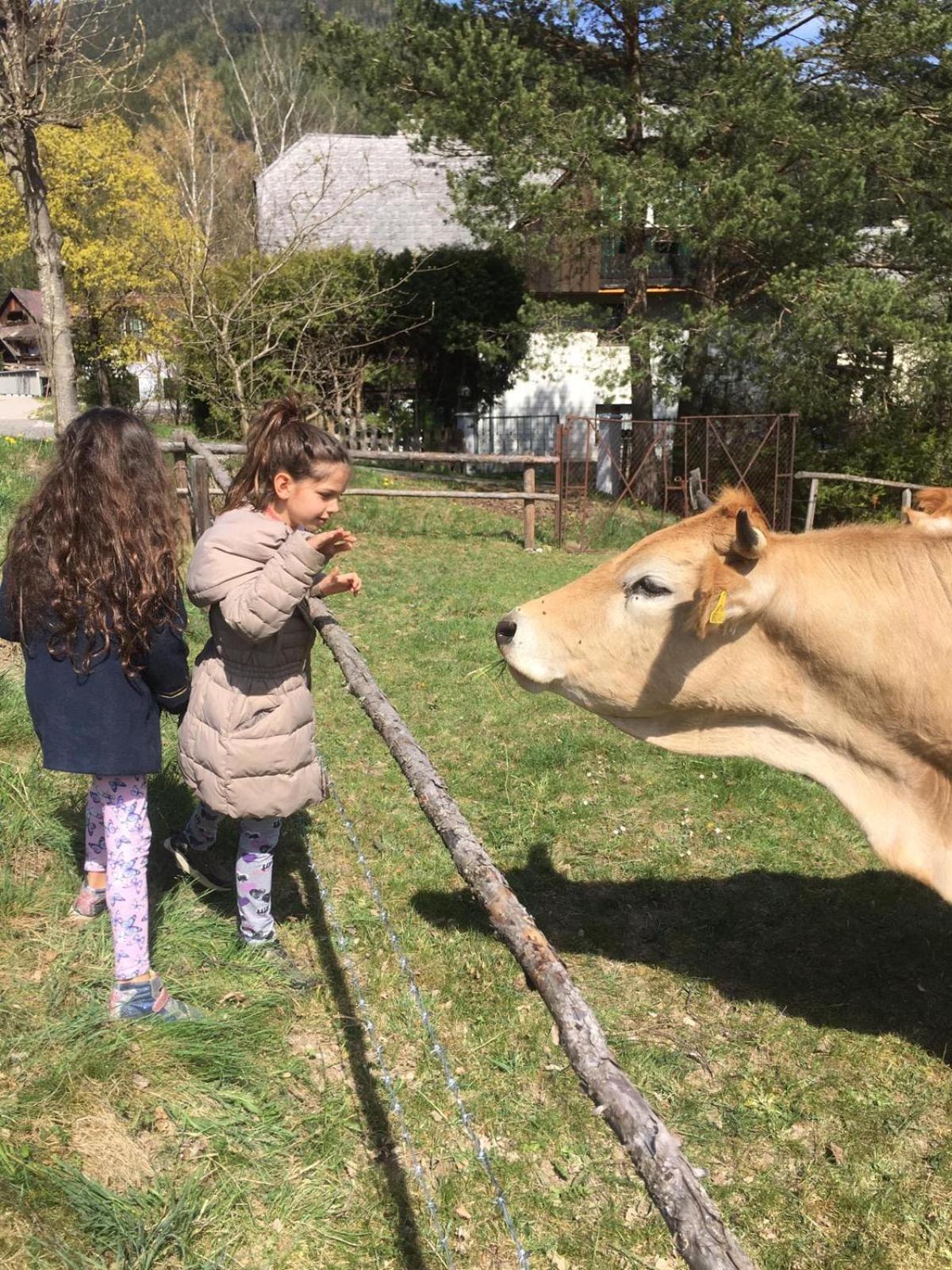 Alpenpension Gasthof