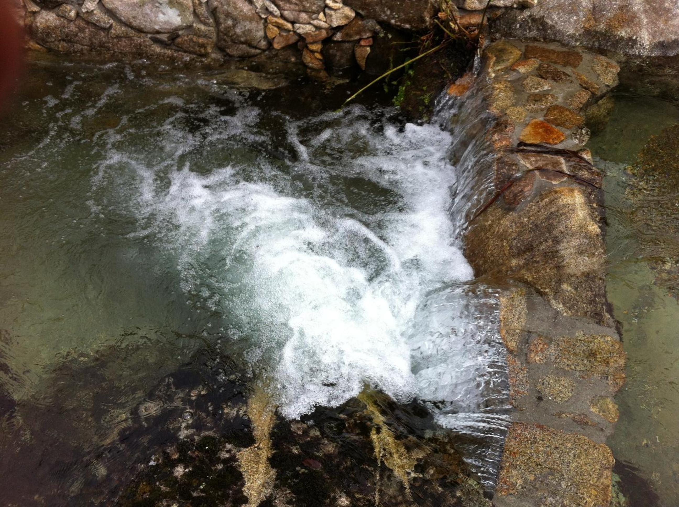 Photo 42