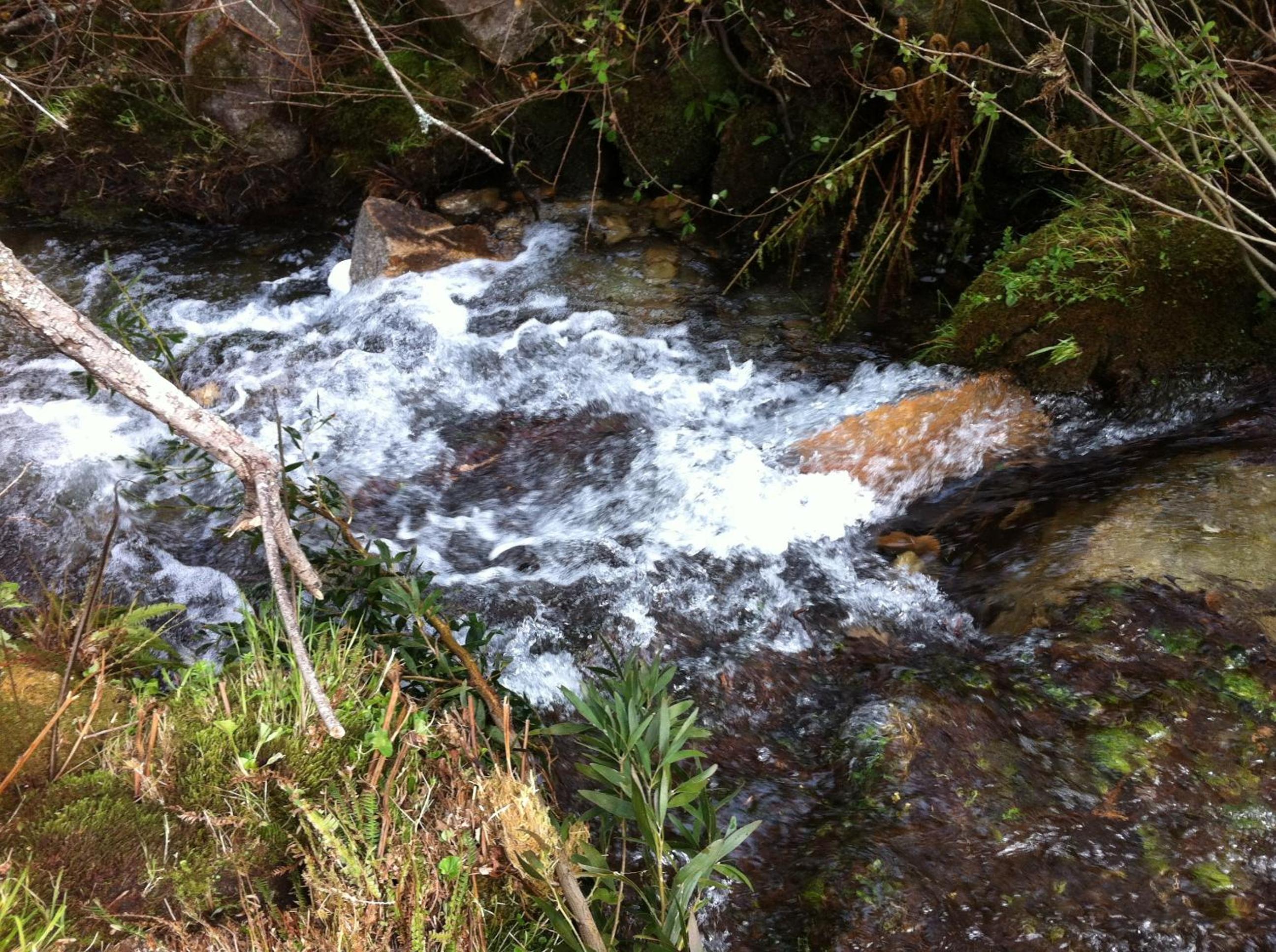 Photo 51