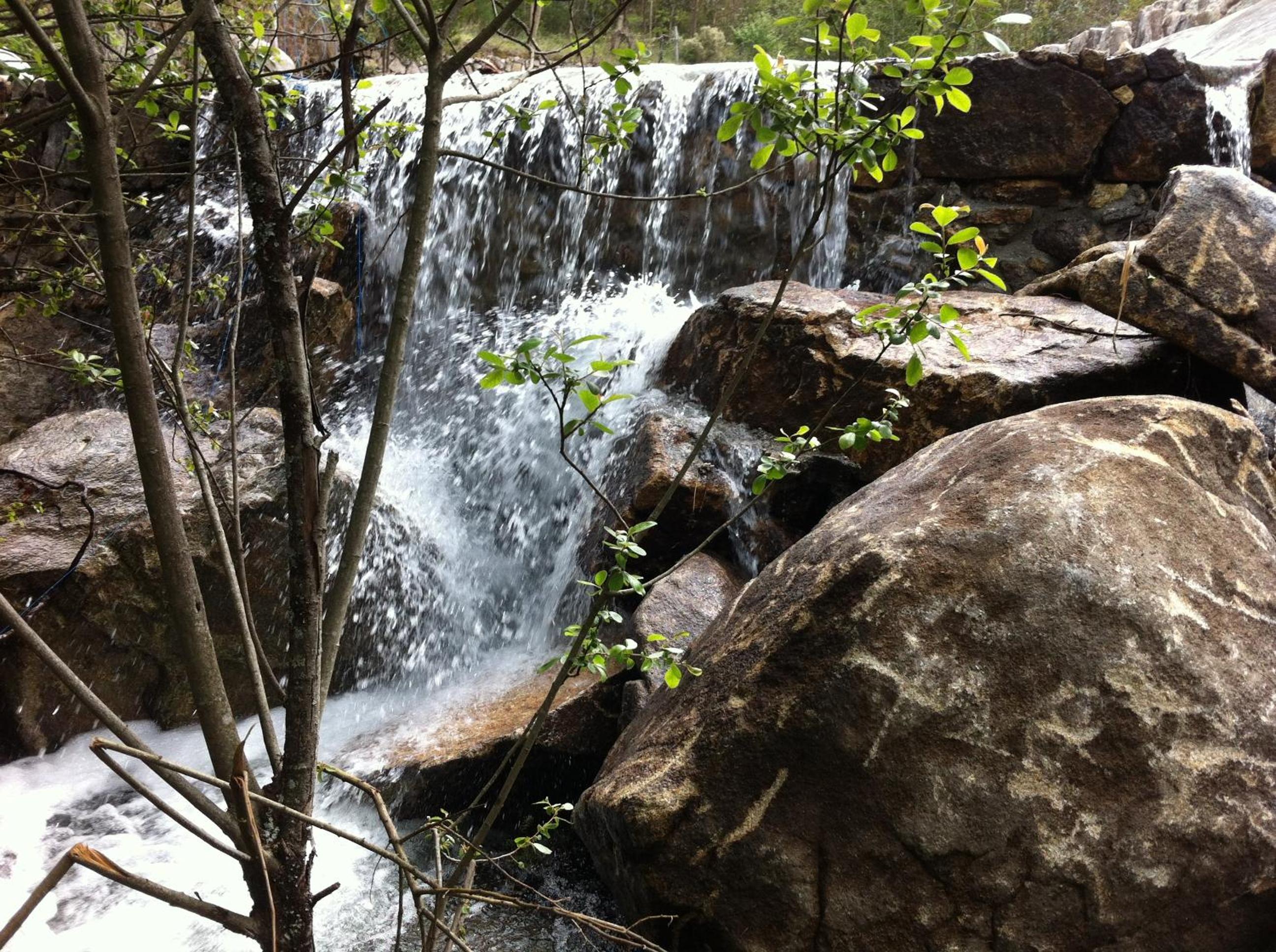 Photo 41