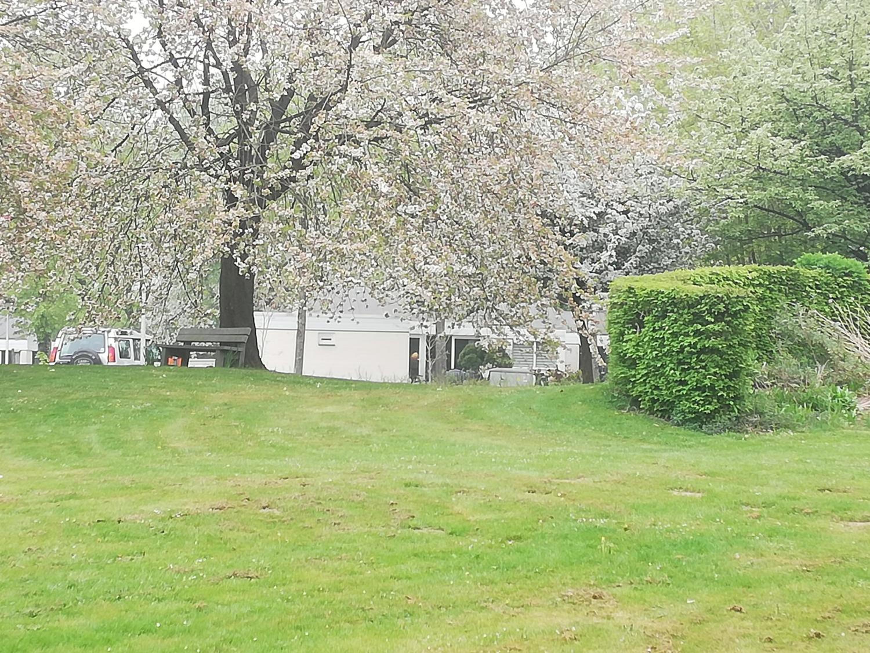 Photo 32