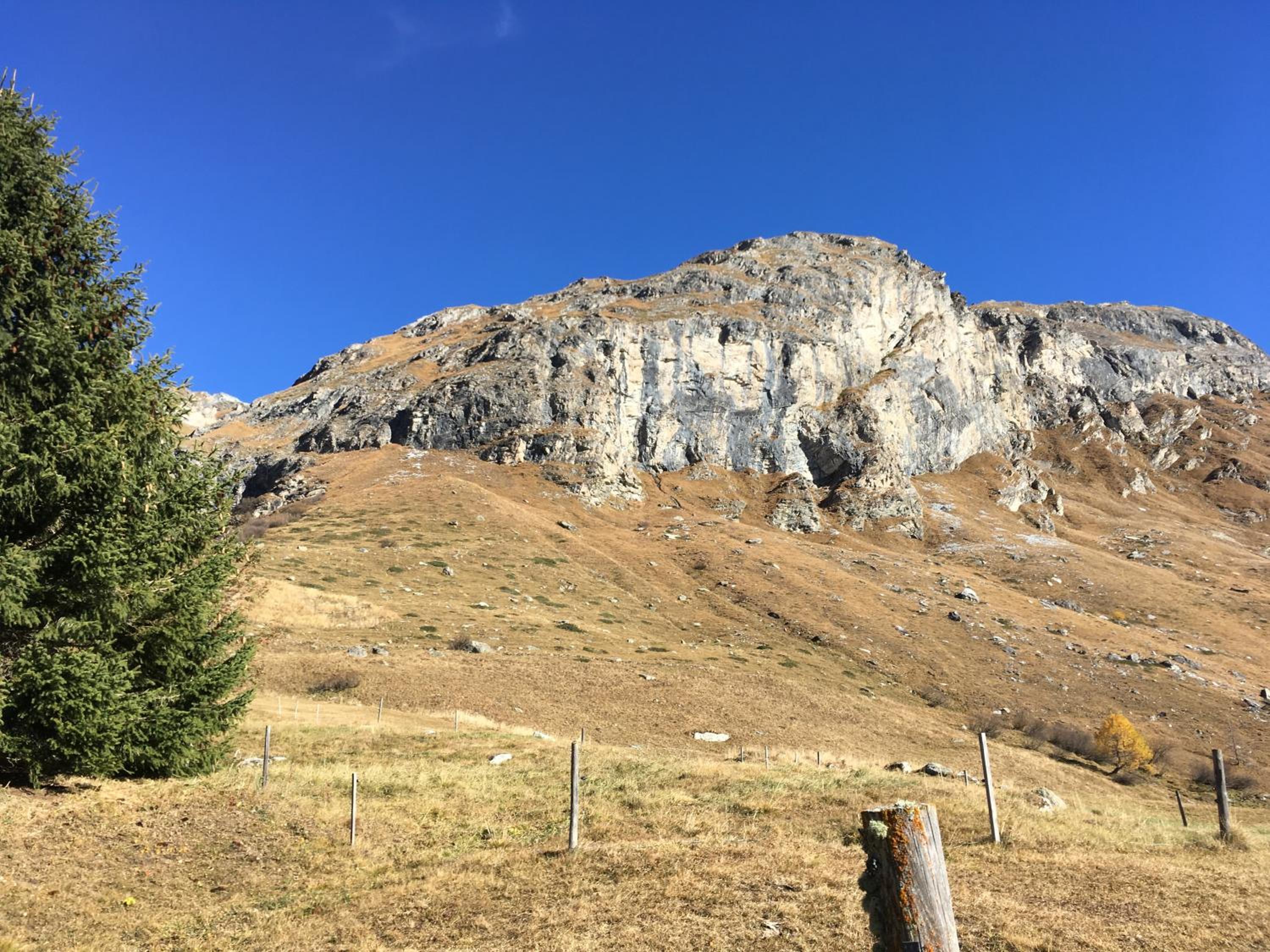 Chesa Viletta