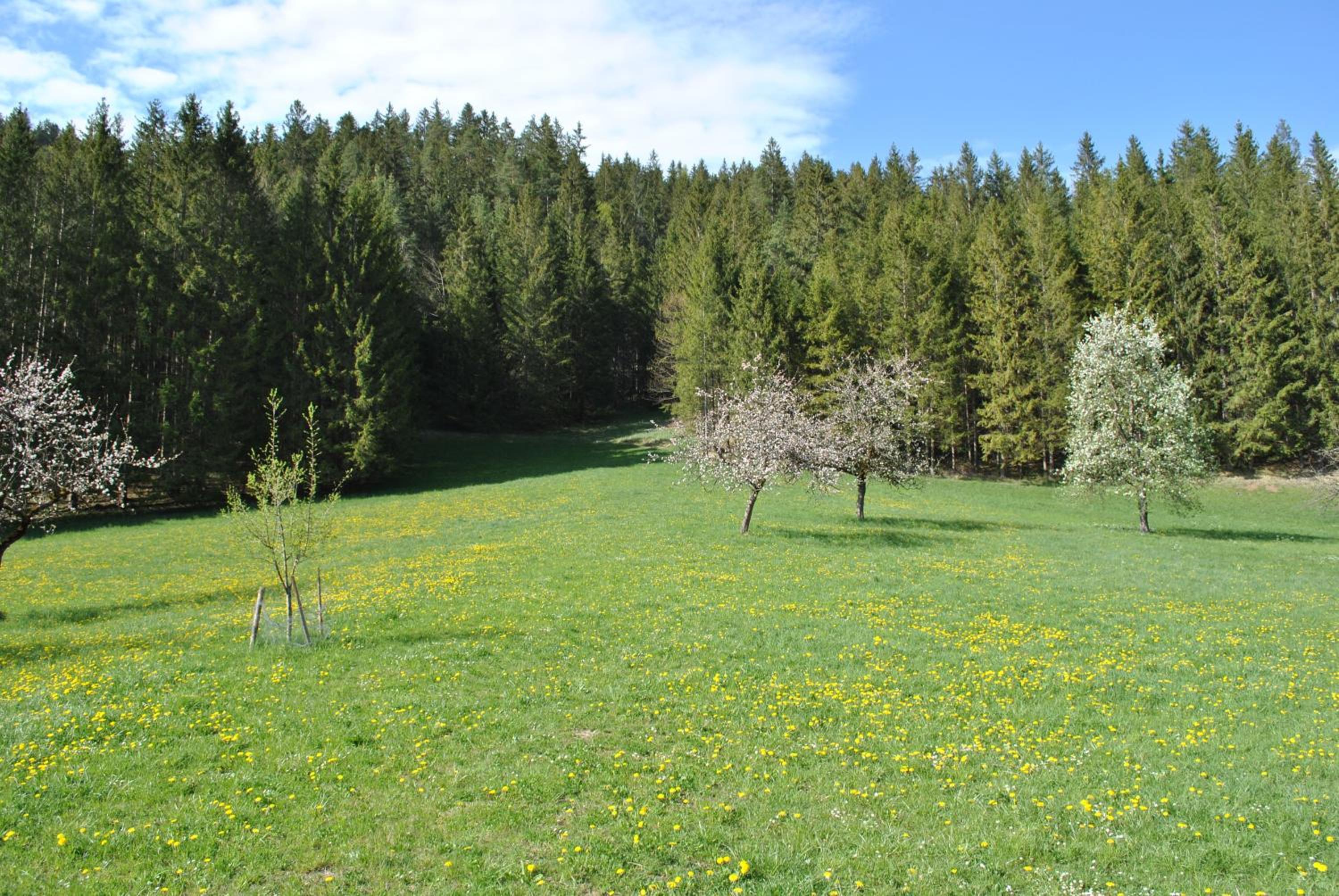 Ferienwohnung Leitner